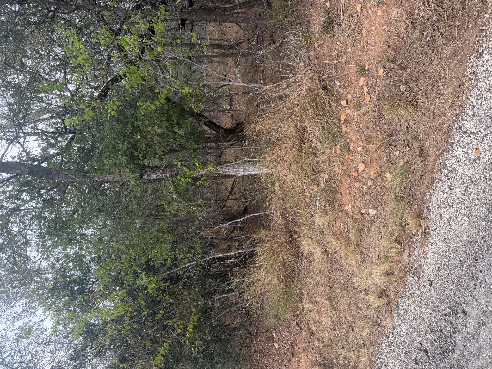 MLS #1473196 image #0