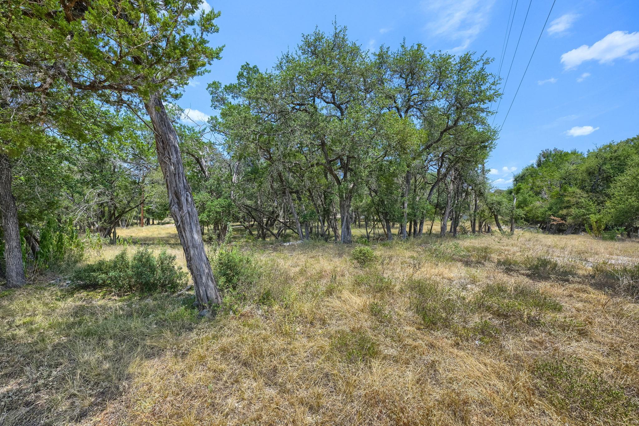 MLS #7179503 image #0
