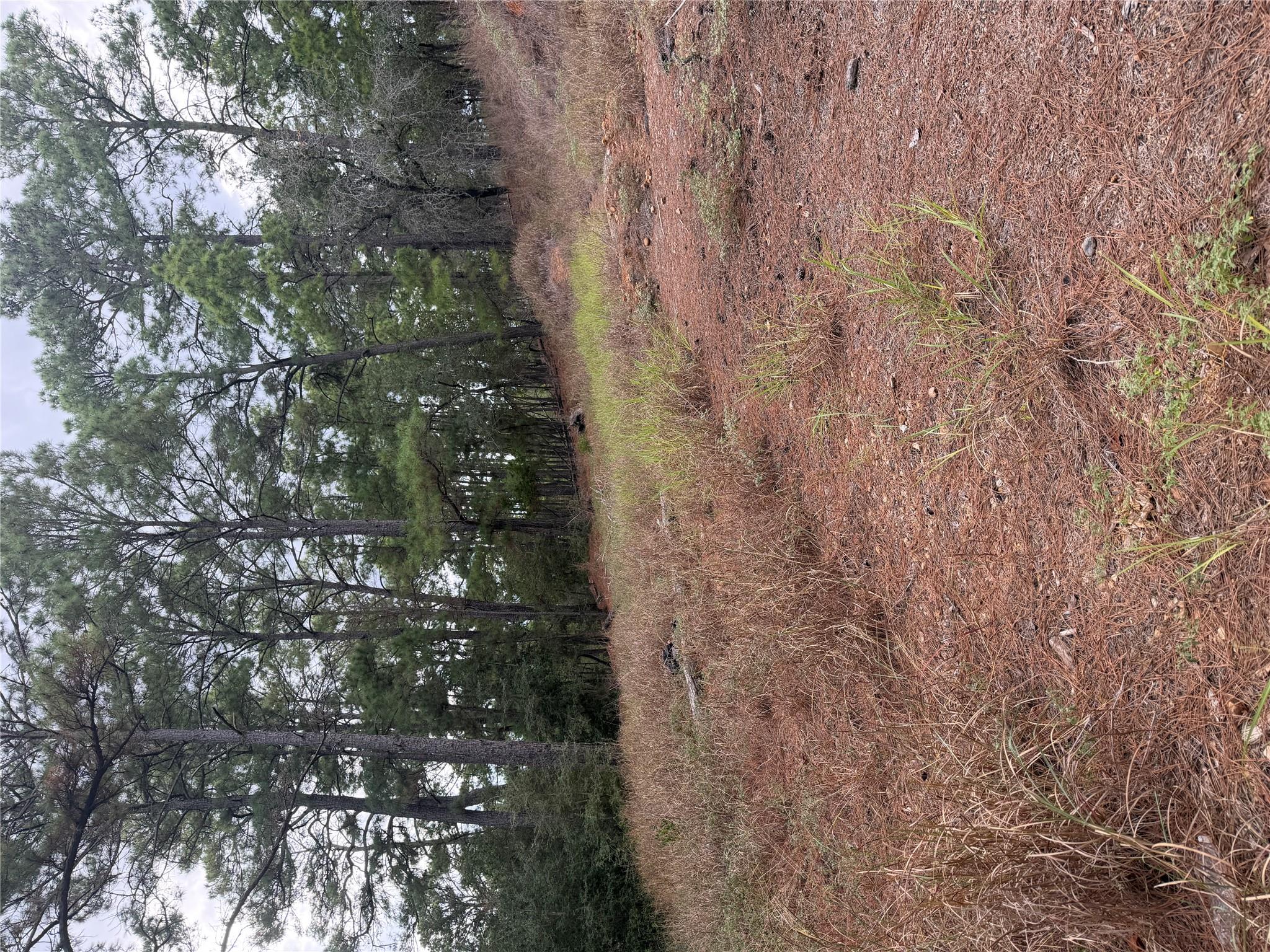 MLS #9663571 image #0