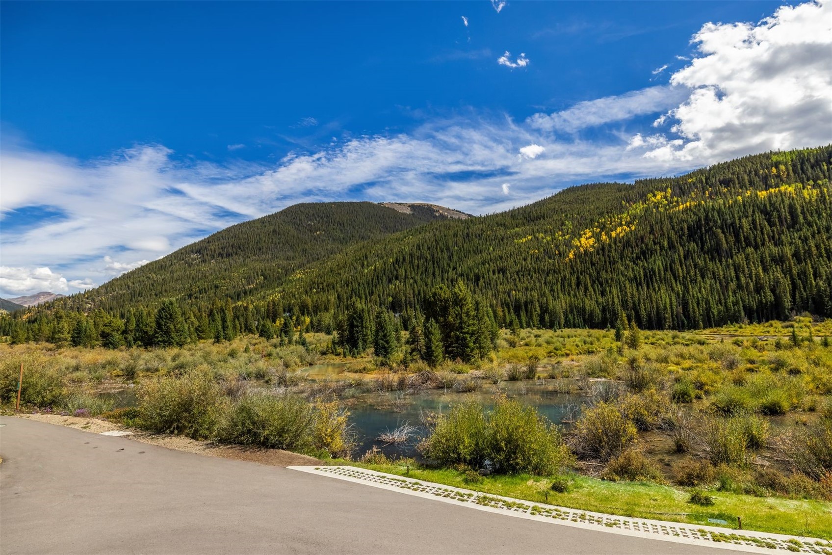 MLS #S1055617 image #5