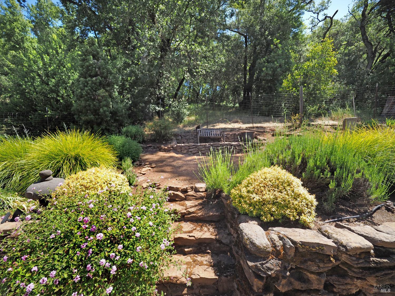MLS #326043225 image #50