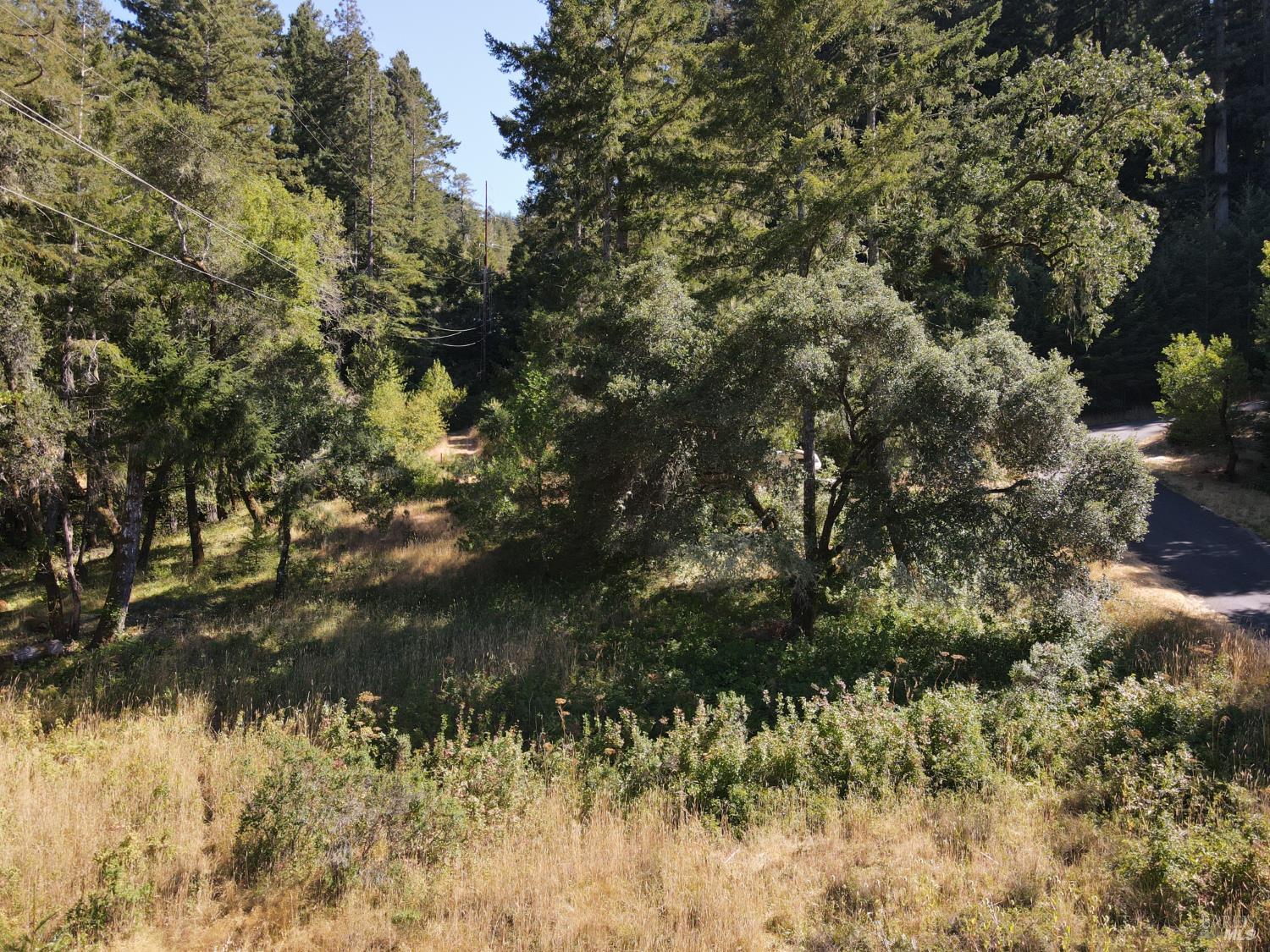 MLS #326060564 image #11