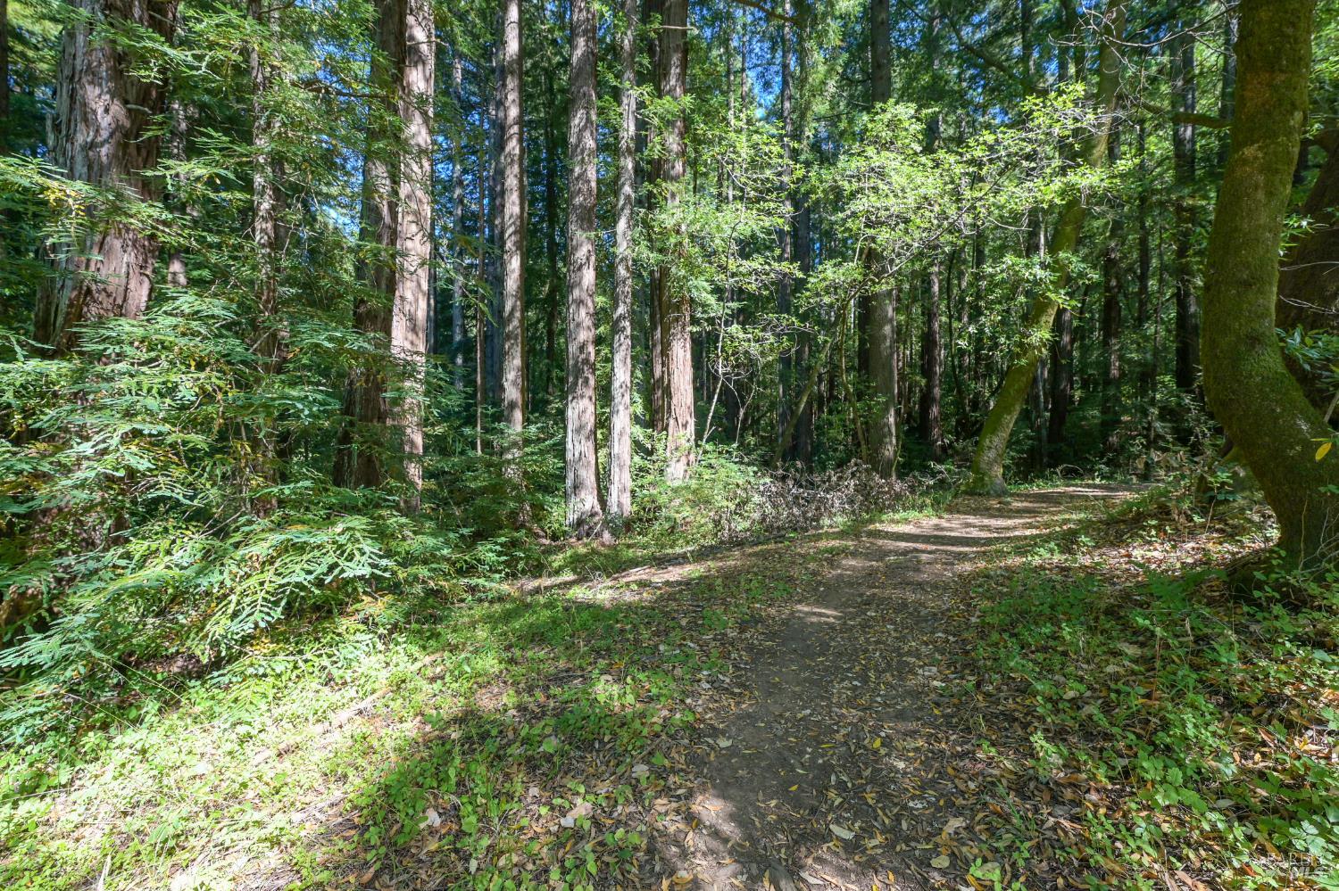 MLS #326060564 image #19