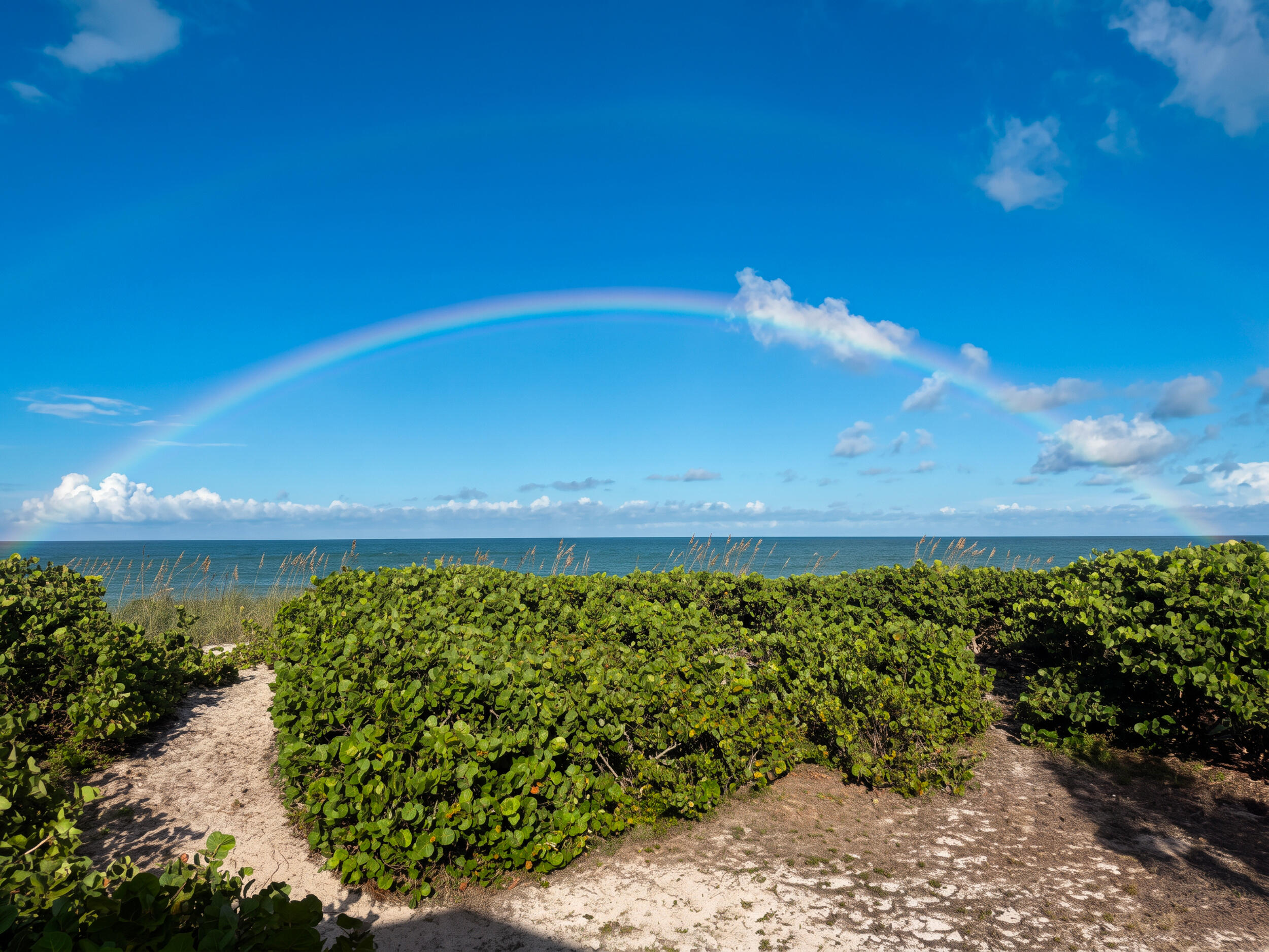 MLS #B26083723 image #0