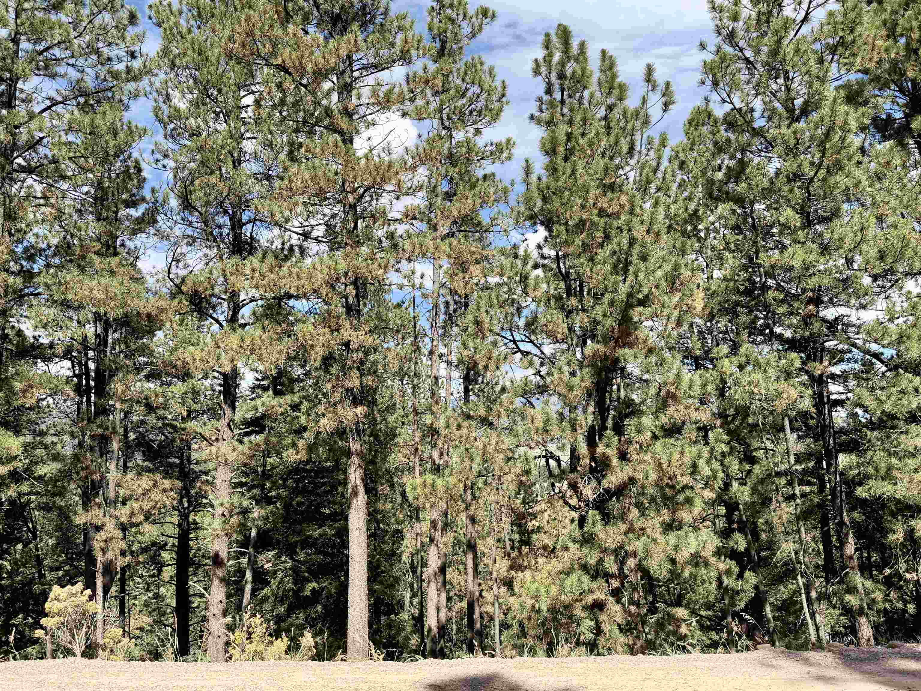 Lot 30A Vail Ave