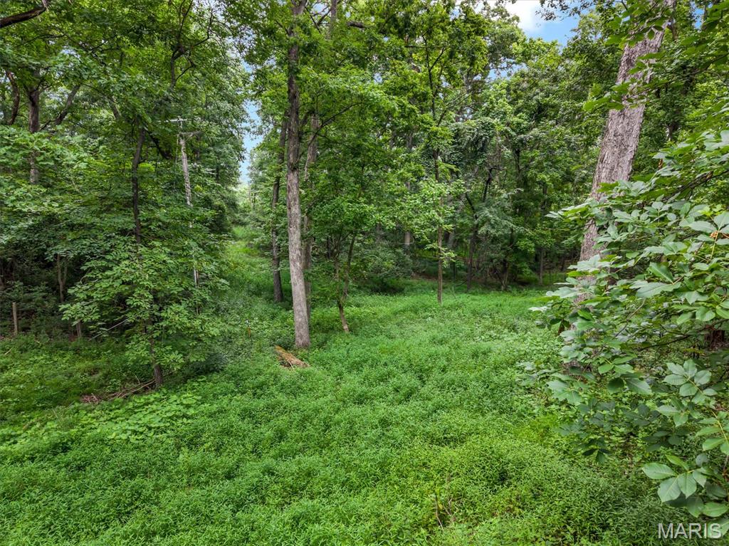 MLS #MIS26047436 image #55