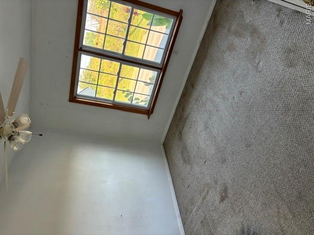 MLS #MIS26059474 image #12