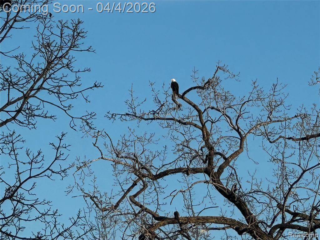 MLS #20261019555 img 22