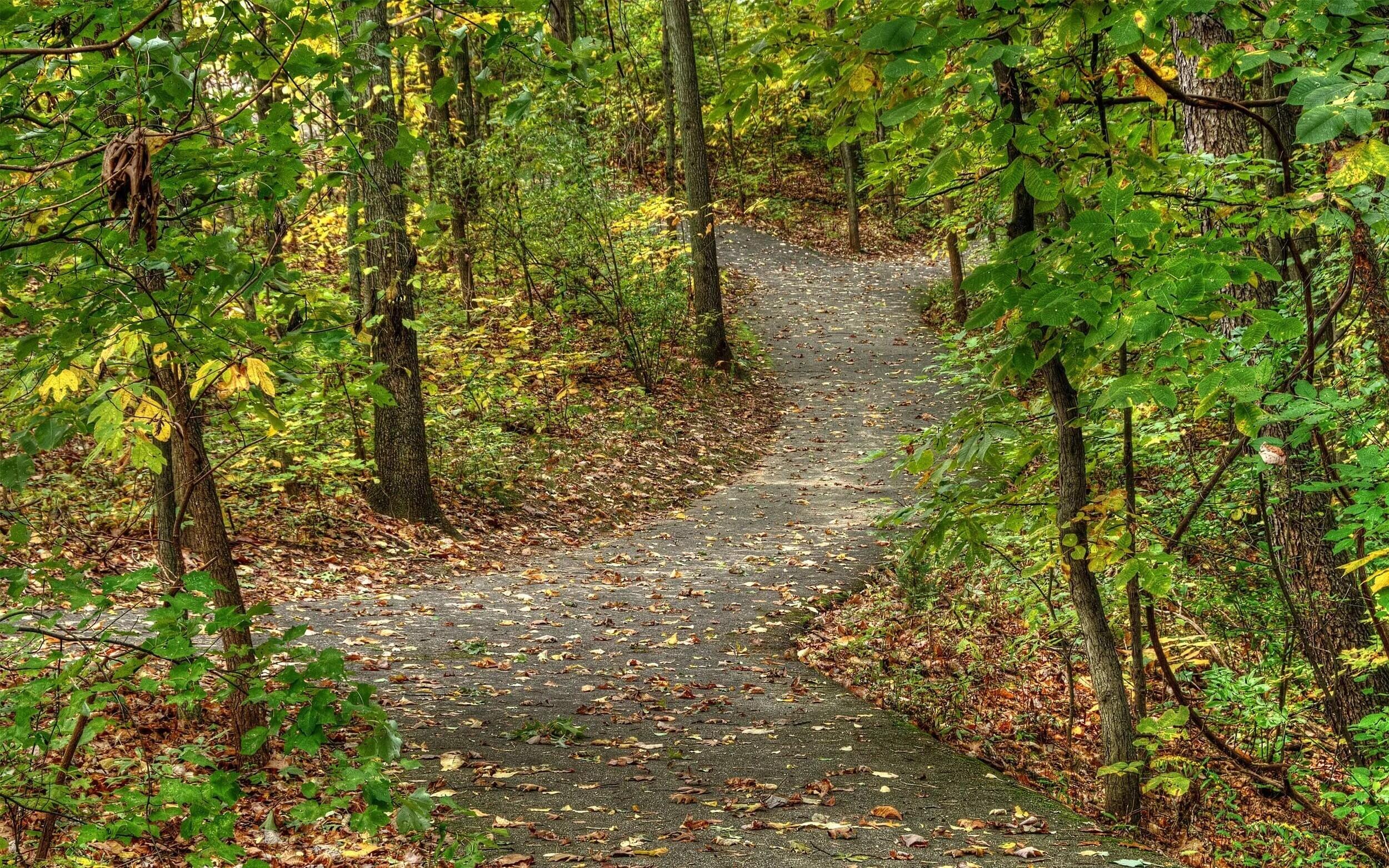 MLS #26013949 img 76