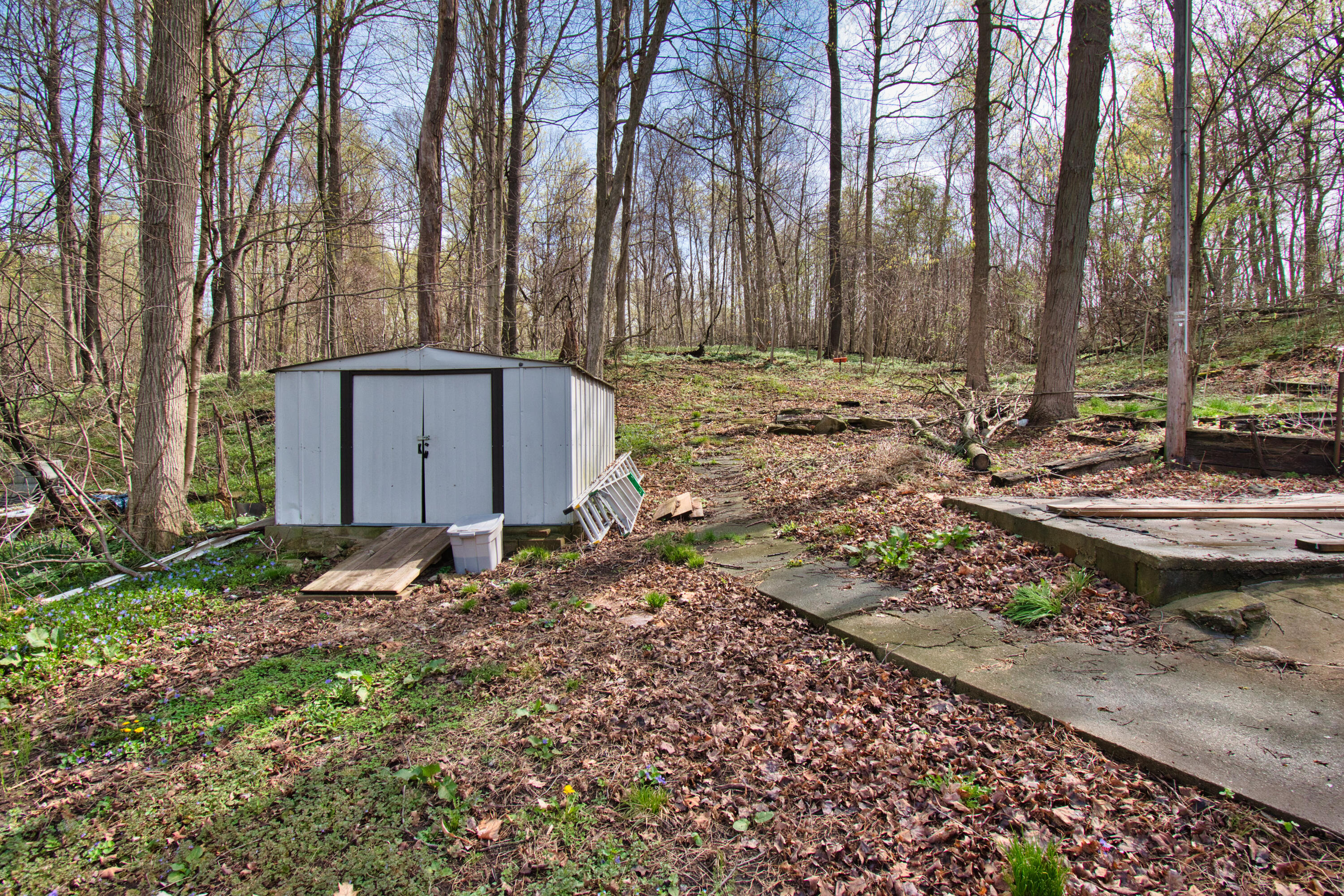 MLS #26015574 img 10