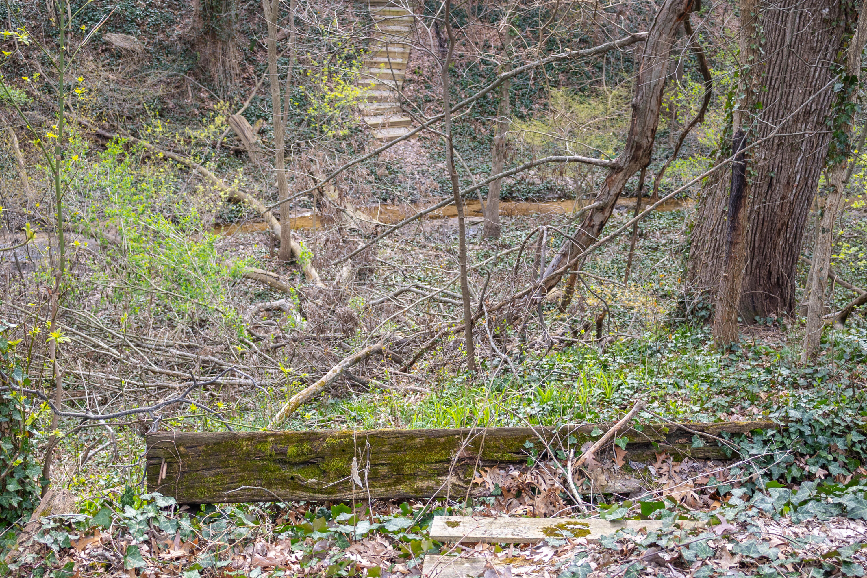 MLS #26016135 img 16