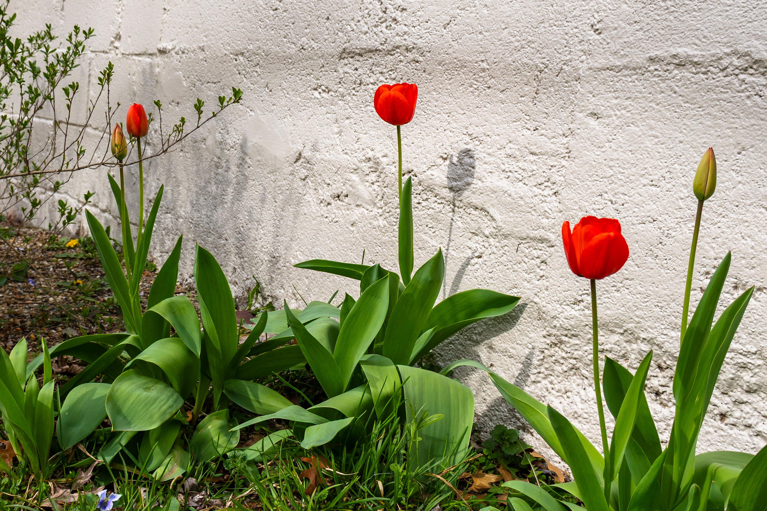 MLS #26016135 img 17