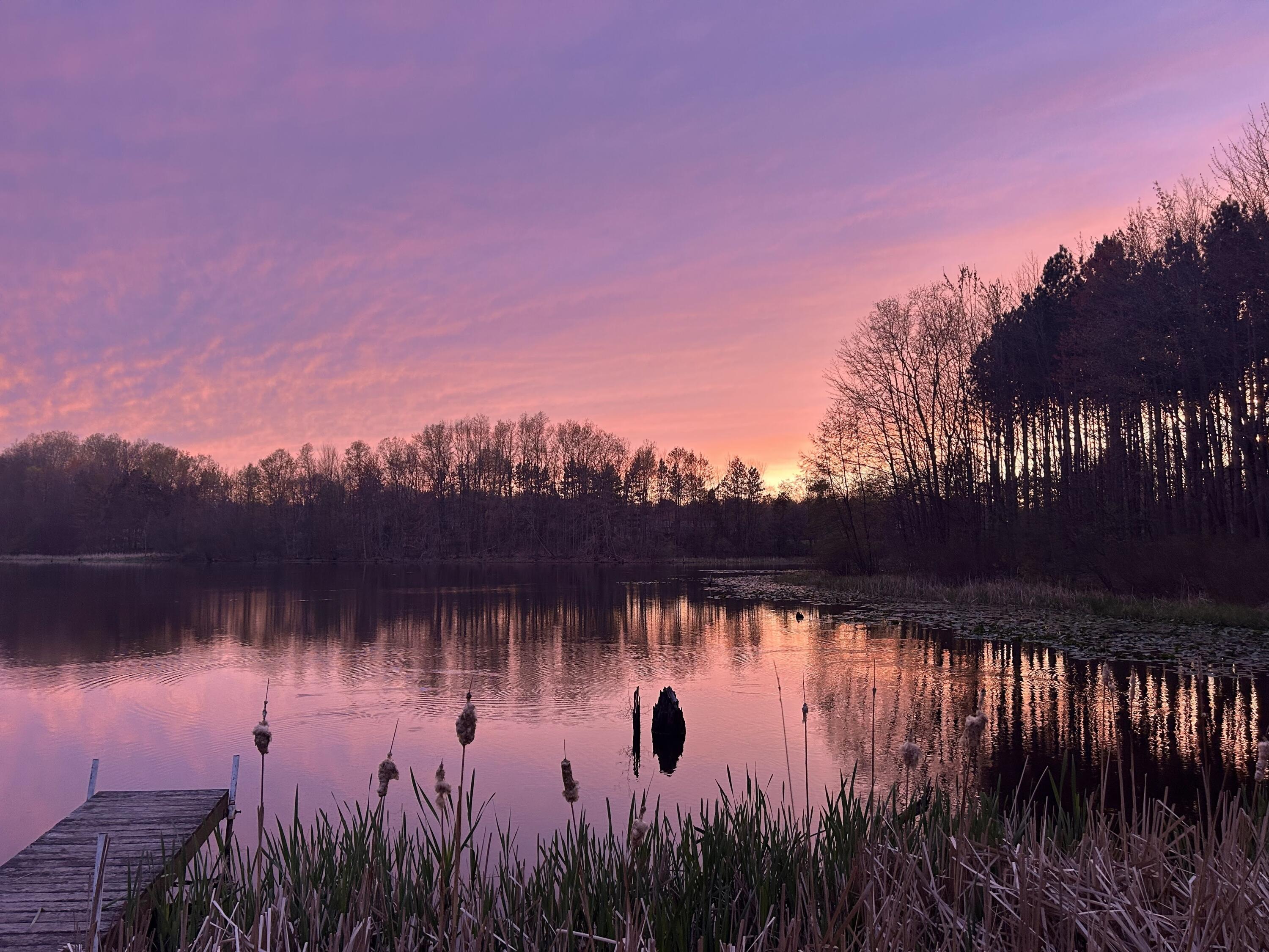 MLS #26016195 img 40