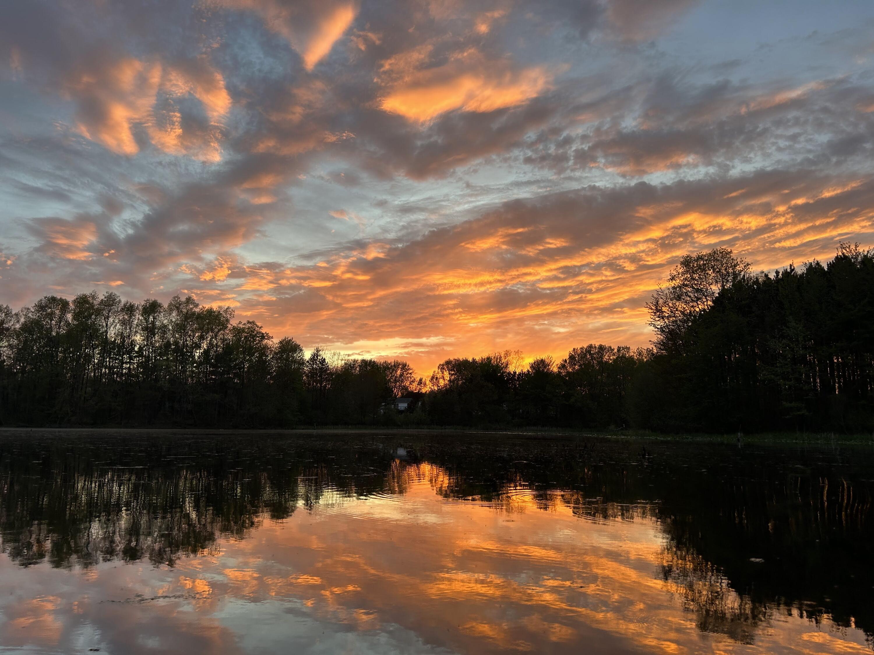 MLS #26016195 img 41