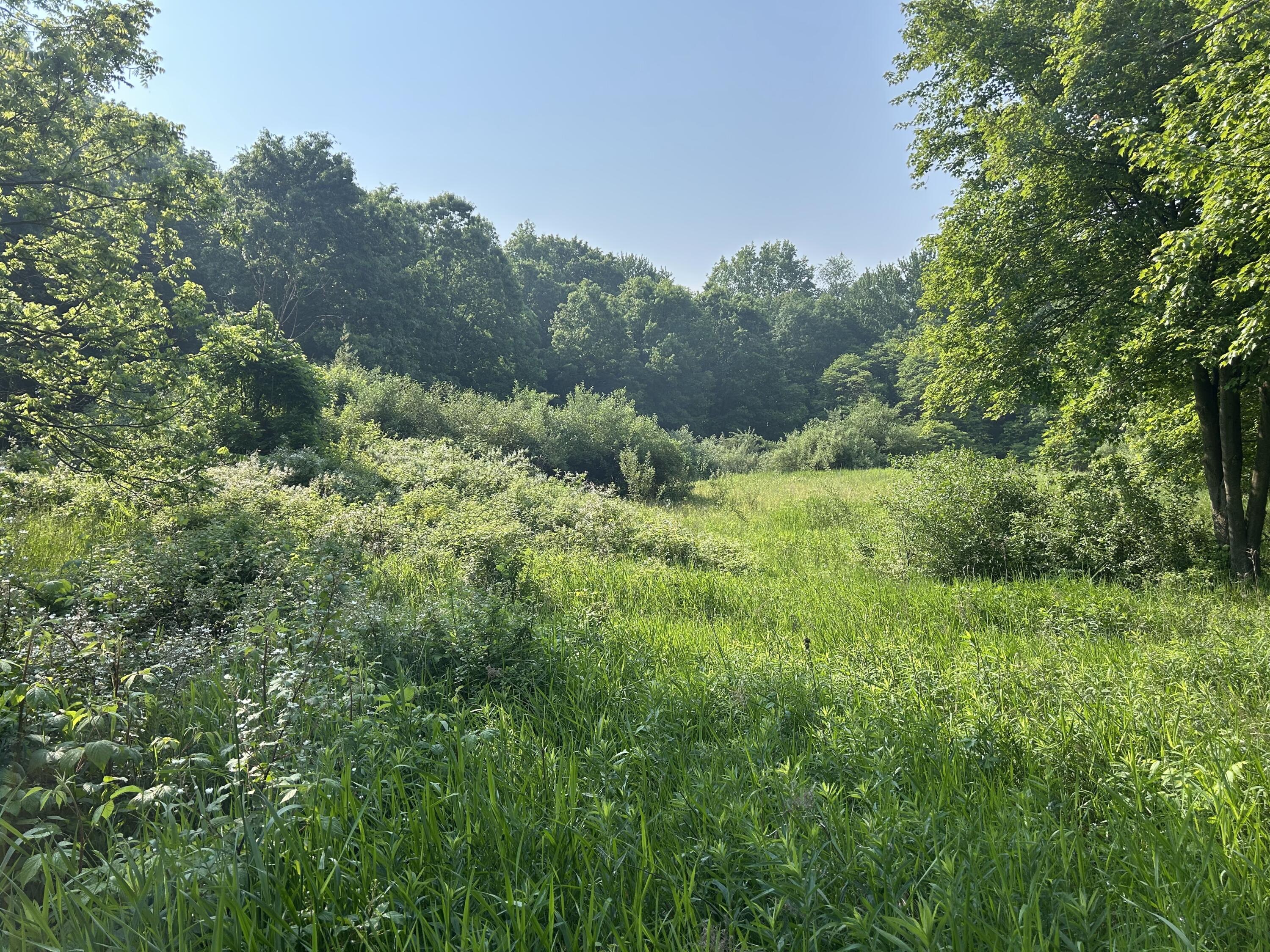 MLS #26016195 img 42