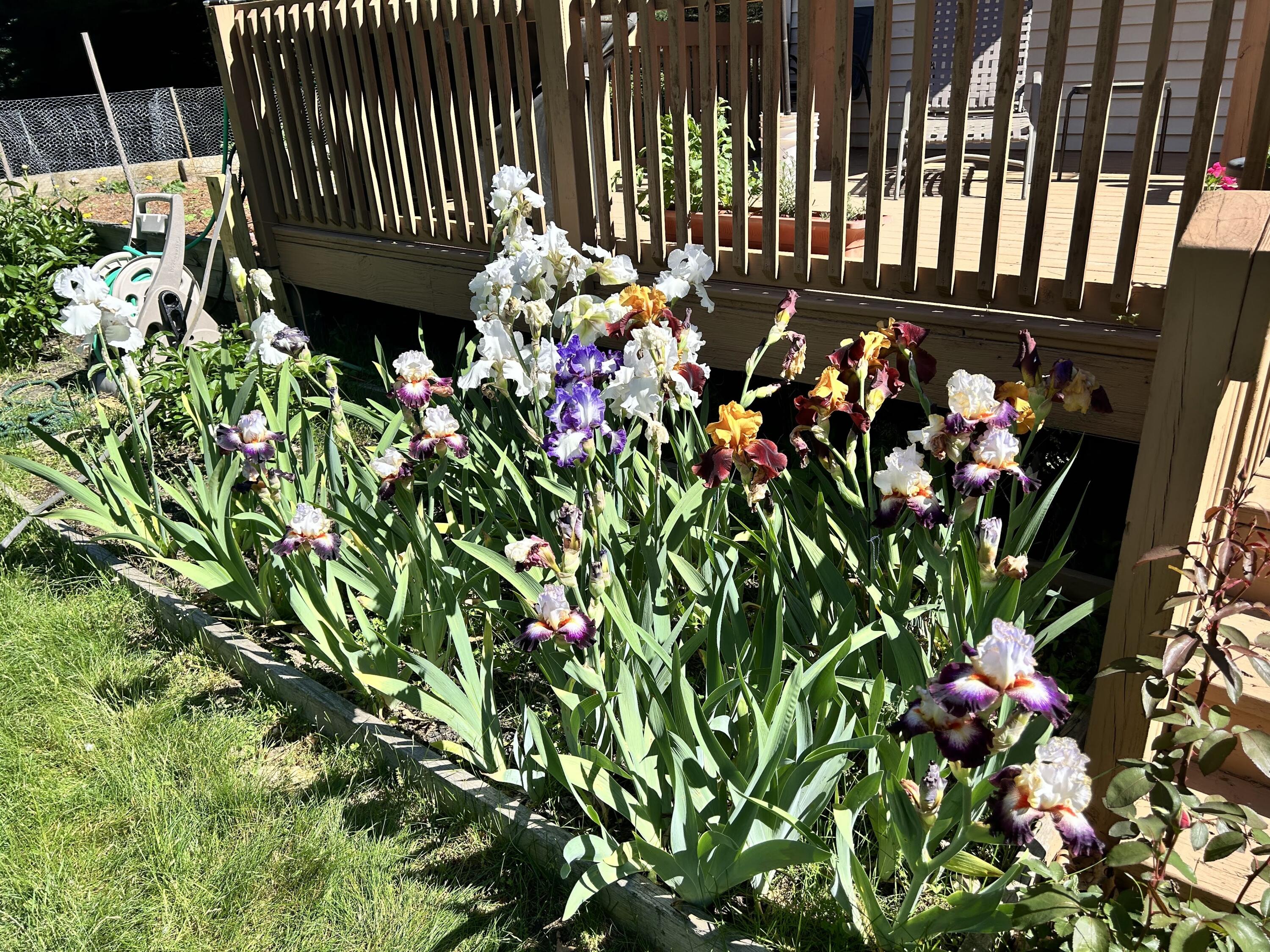 MLS #26016195 img 44