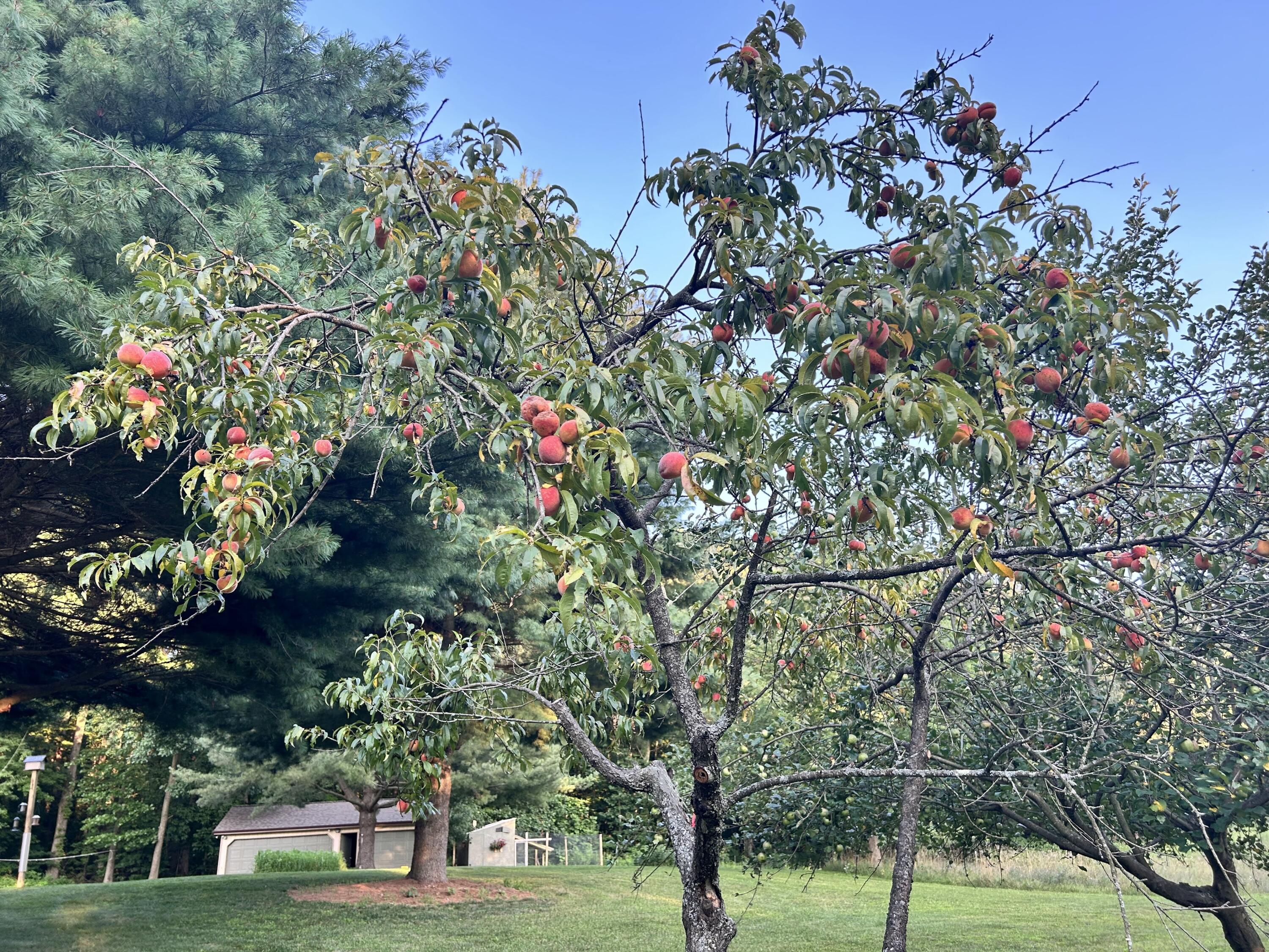 MLS #26016195 img 46