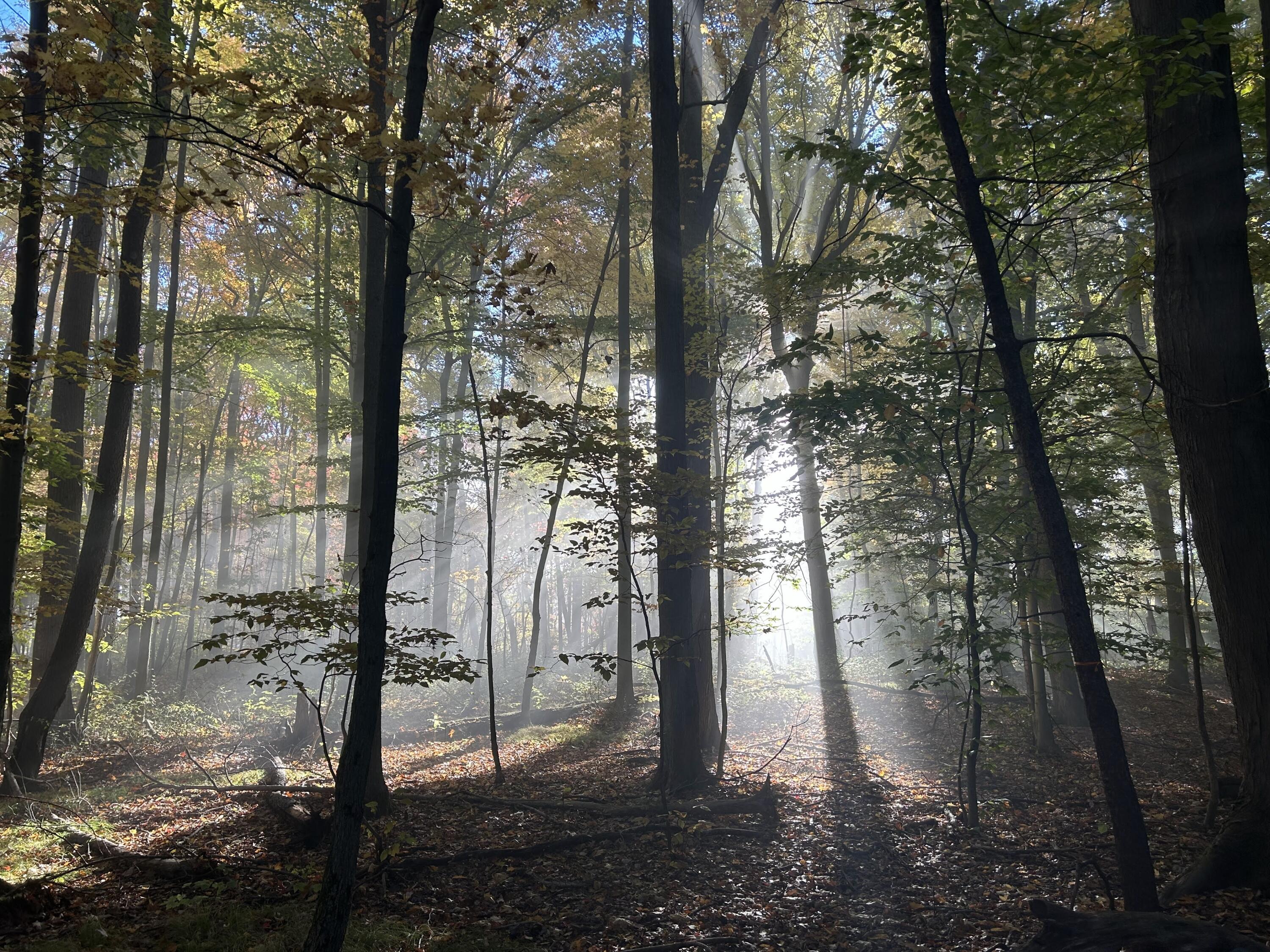 MLS #26016195 img 47