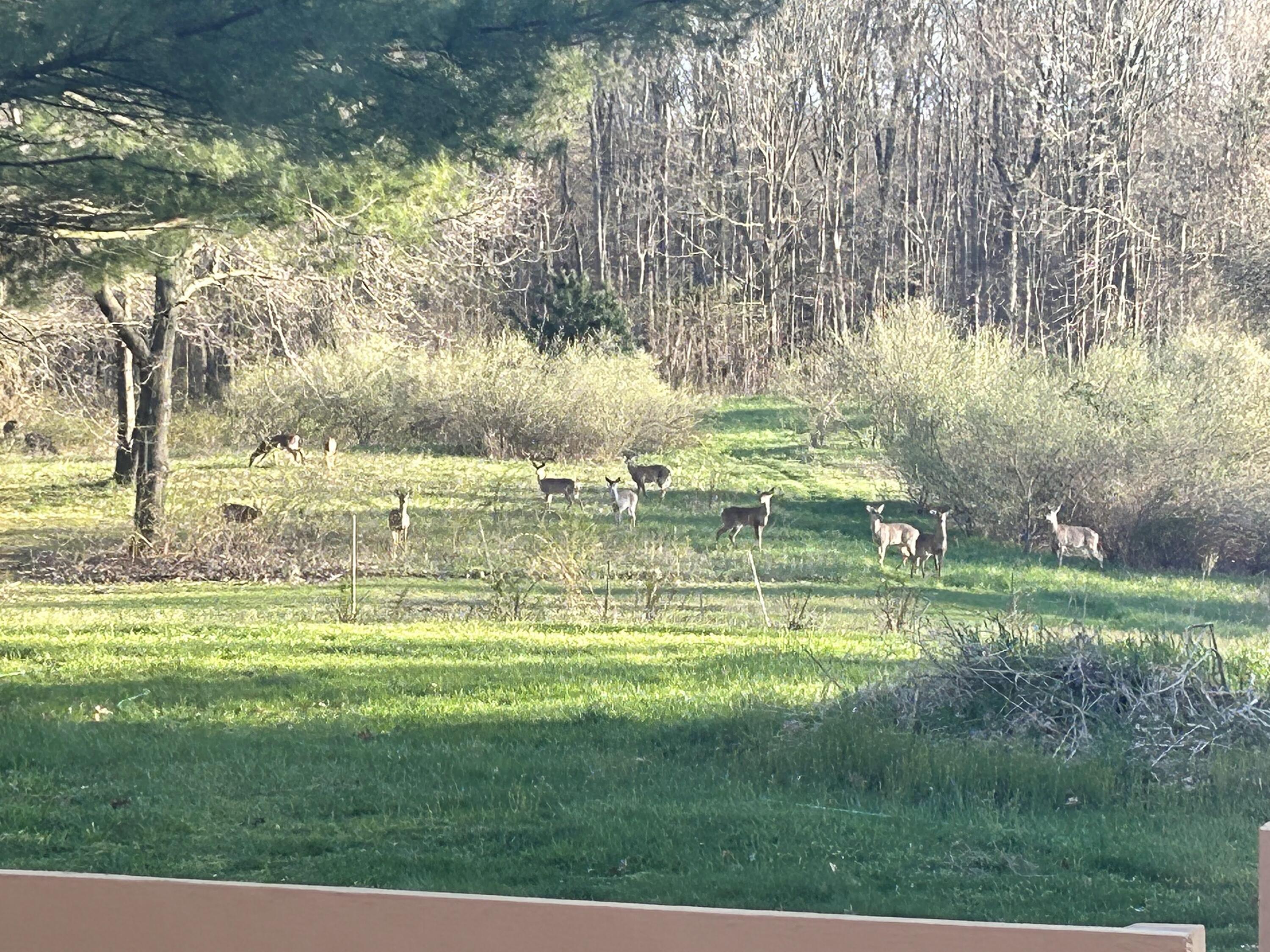 MLS #26016195 img 49