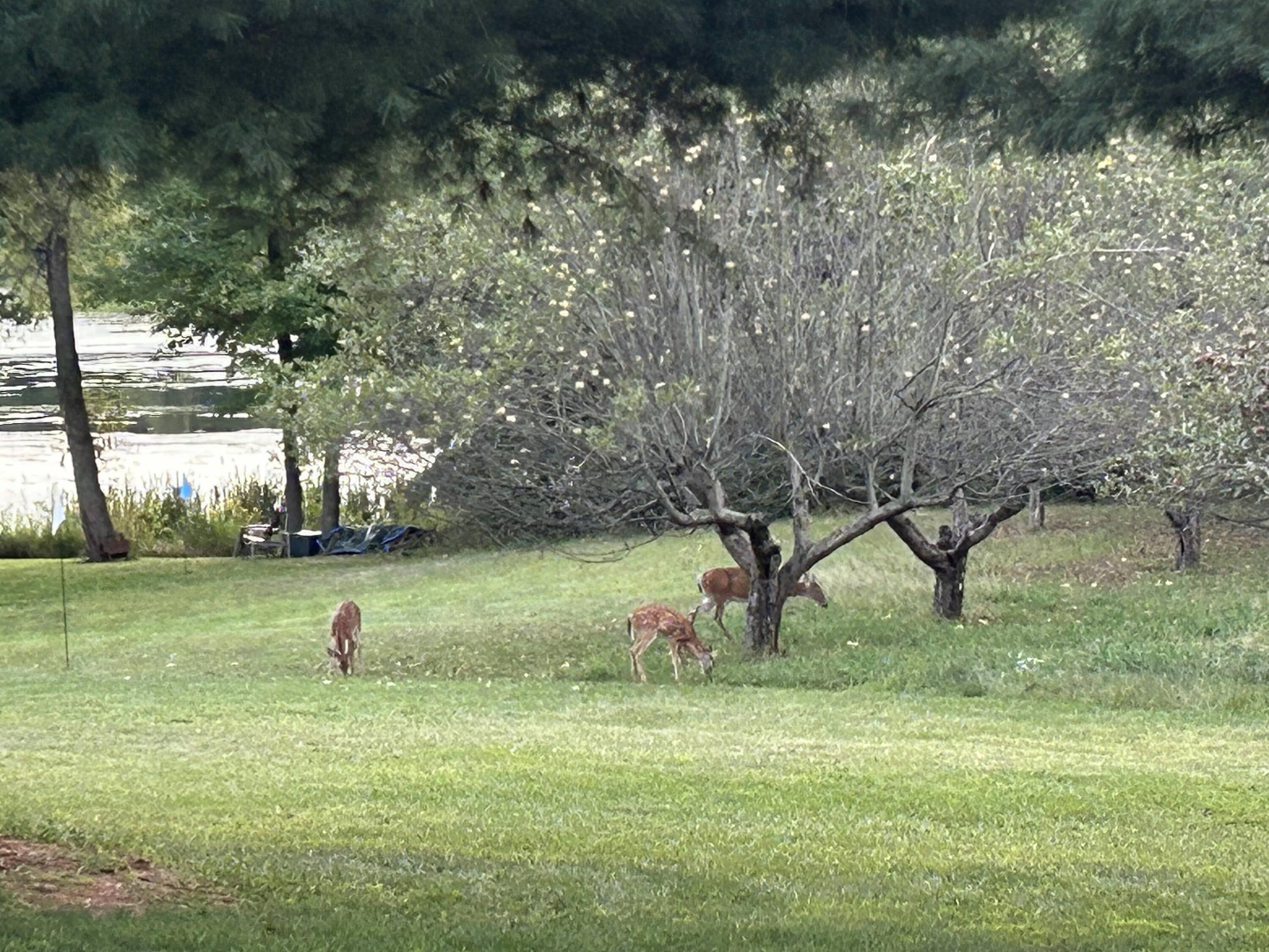 MLS #26016195 img 50