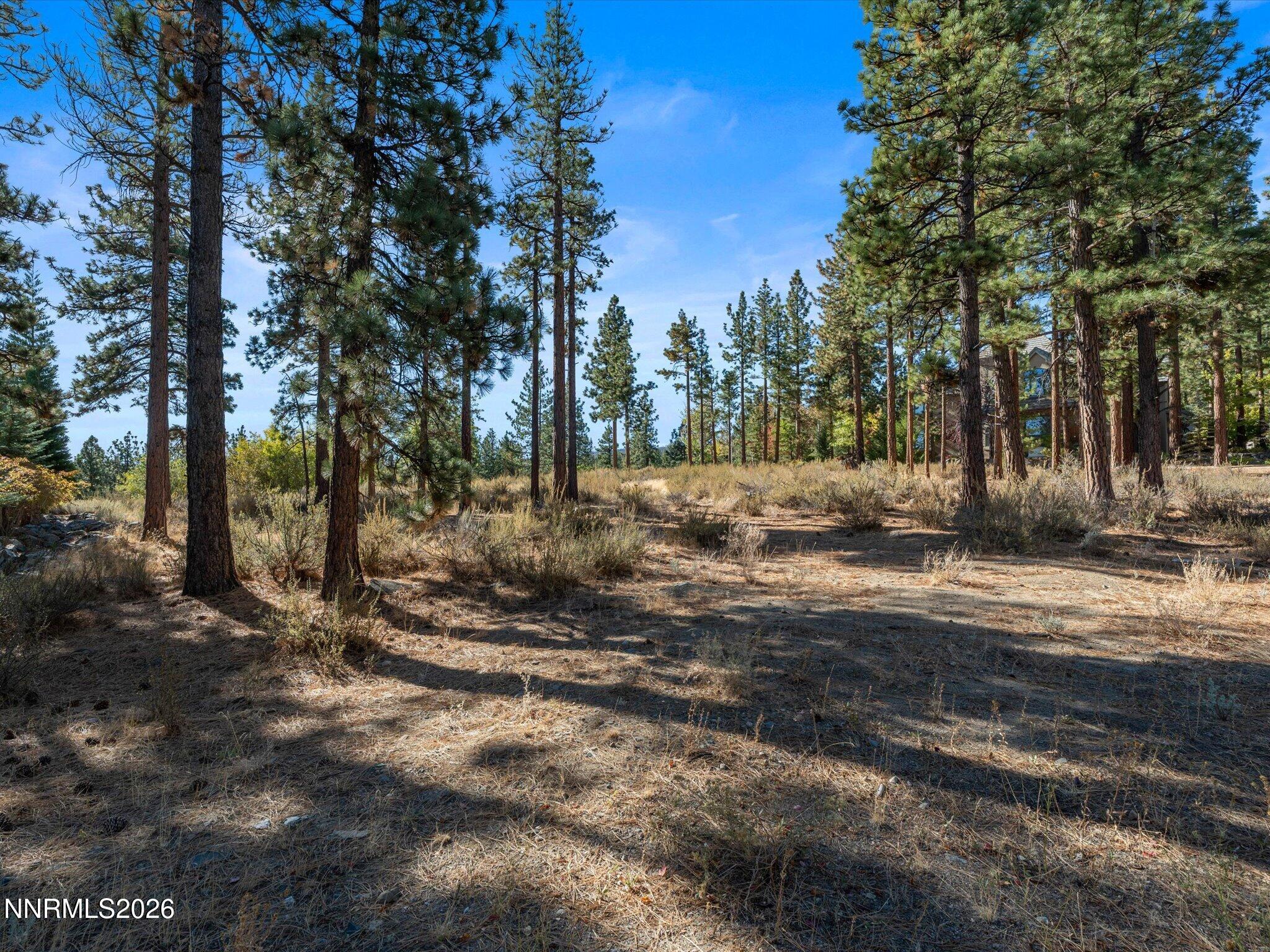 MLS #260013105 image #5
