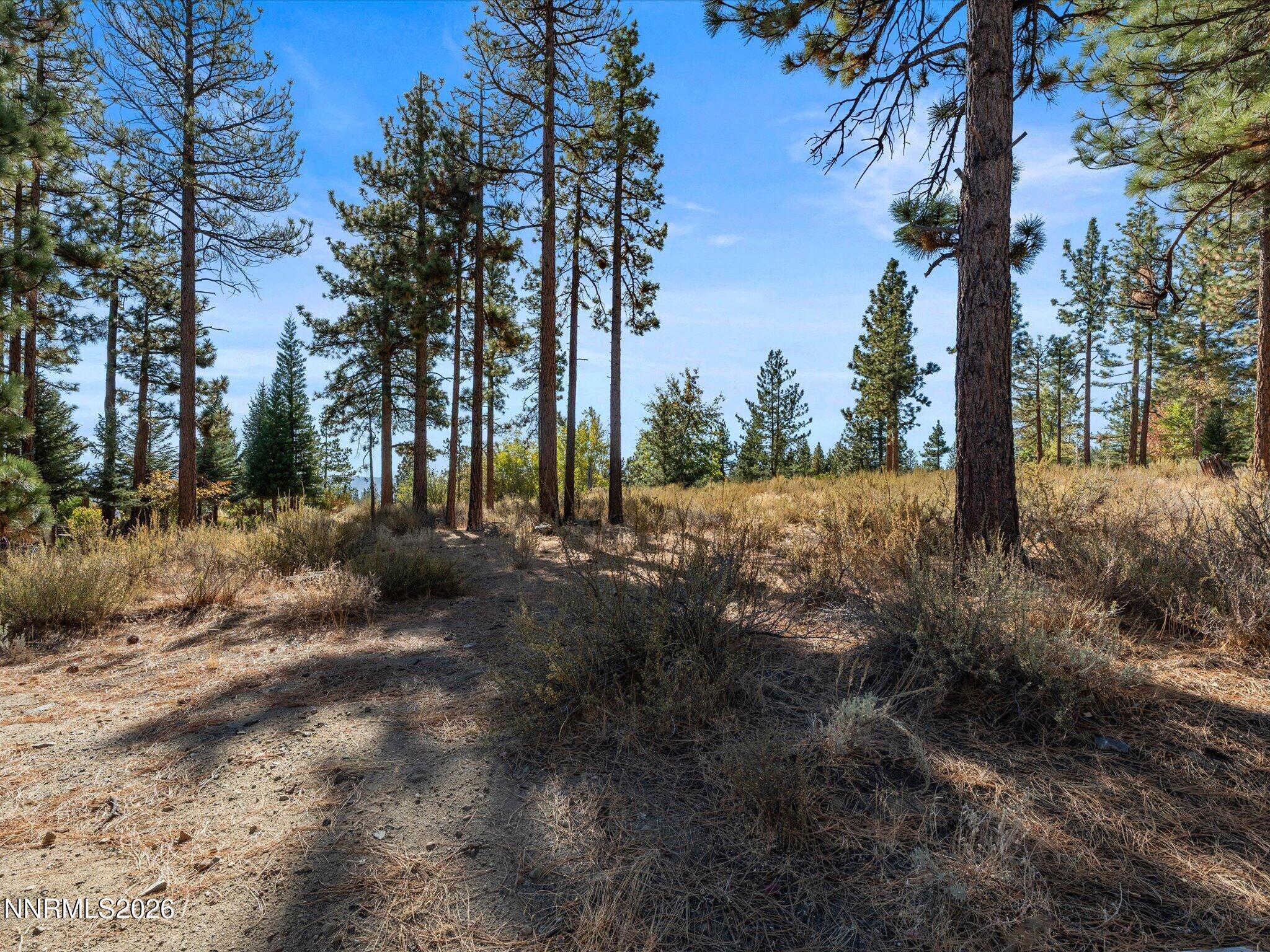 MLS #260013105 image #6