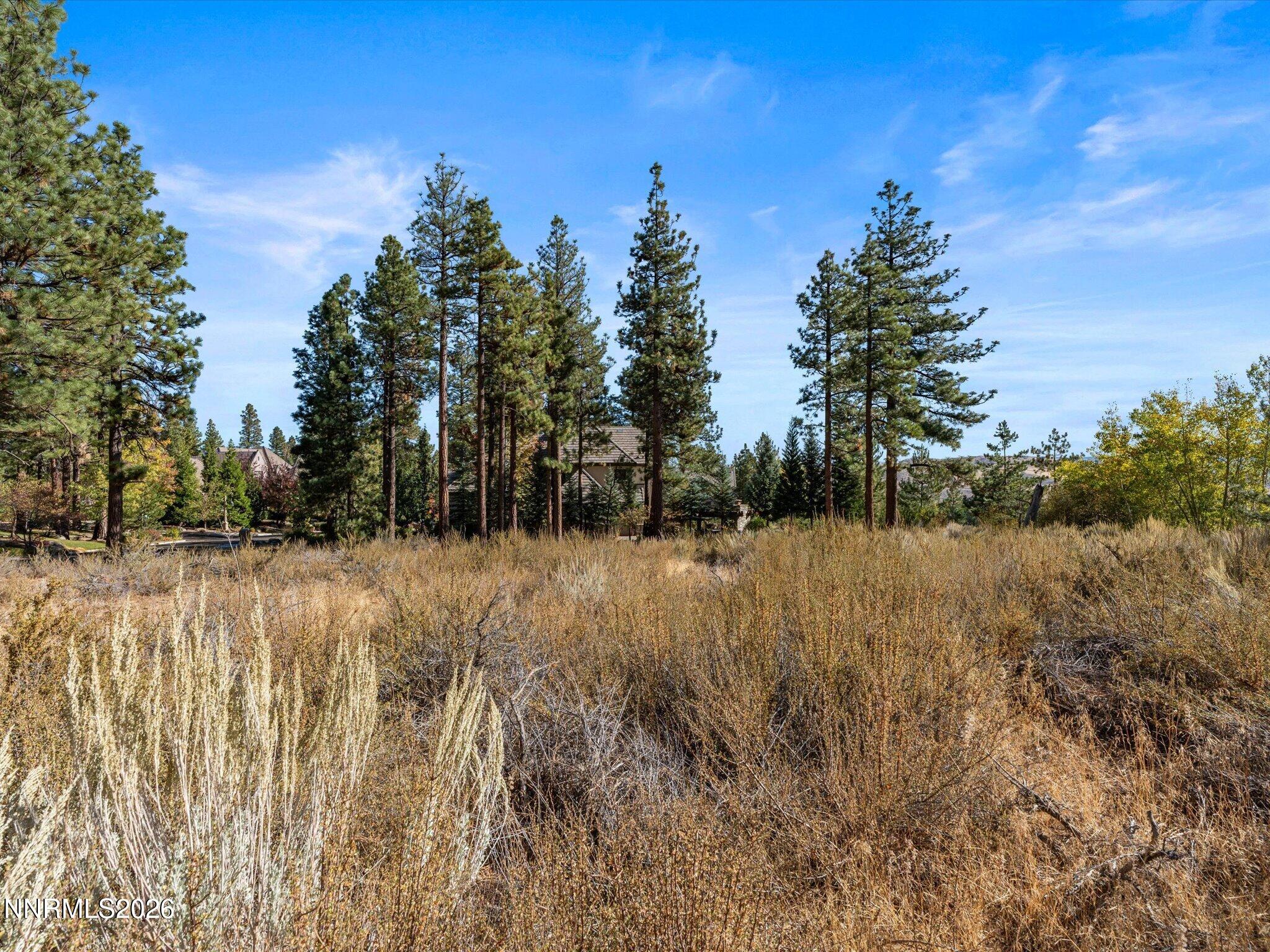 MLS #260013105 image #7
