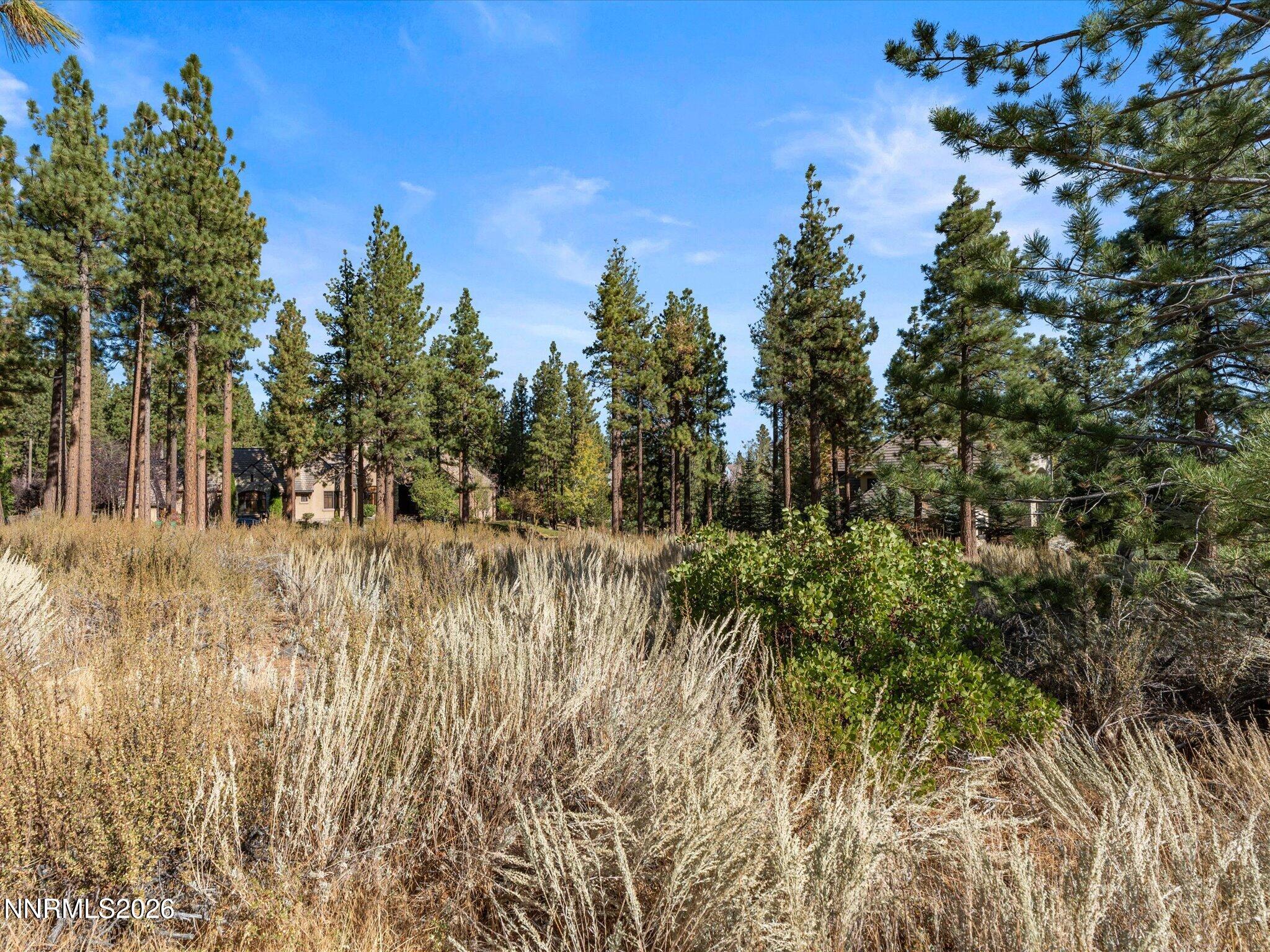 MLS #260013105 image #8