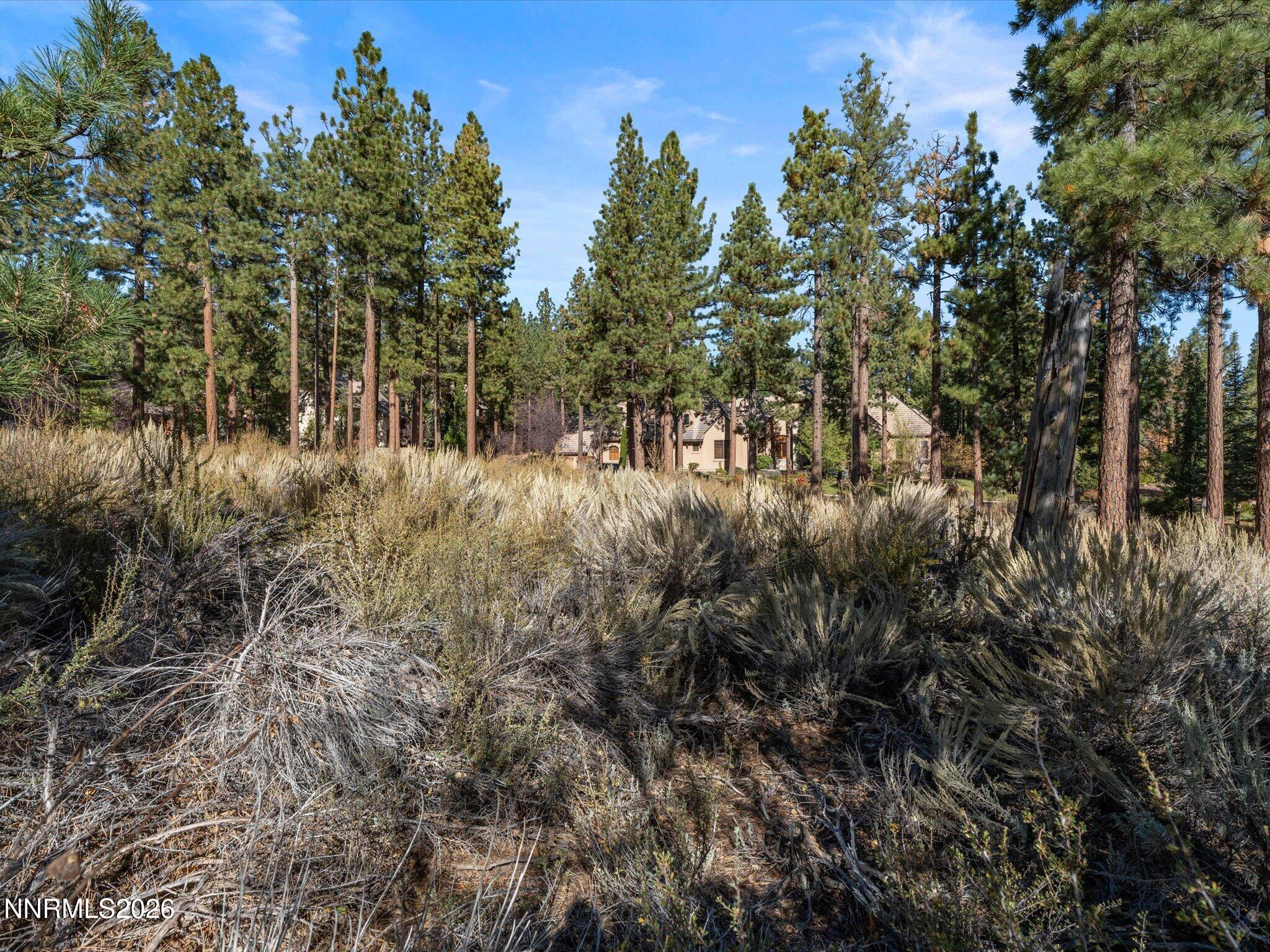 MLS #260013105 image #9