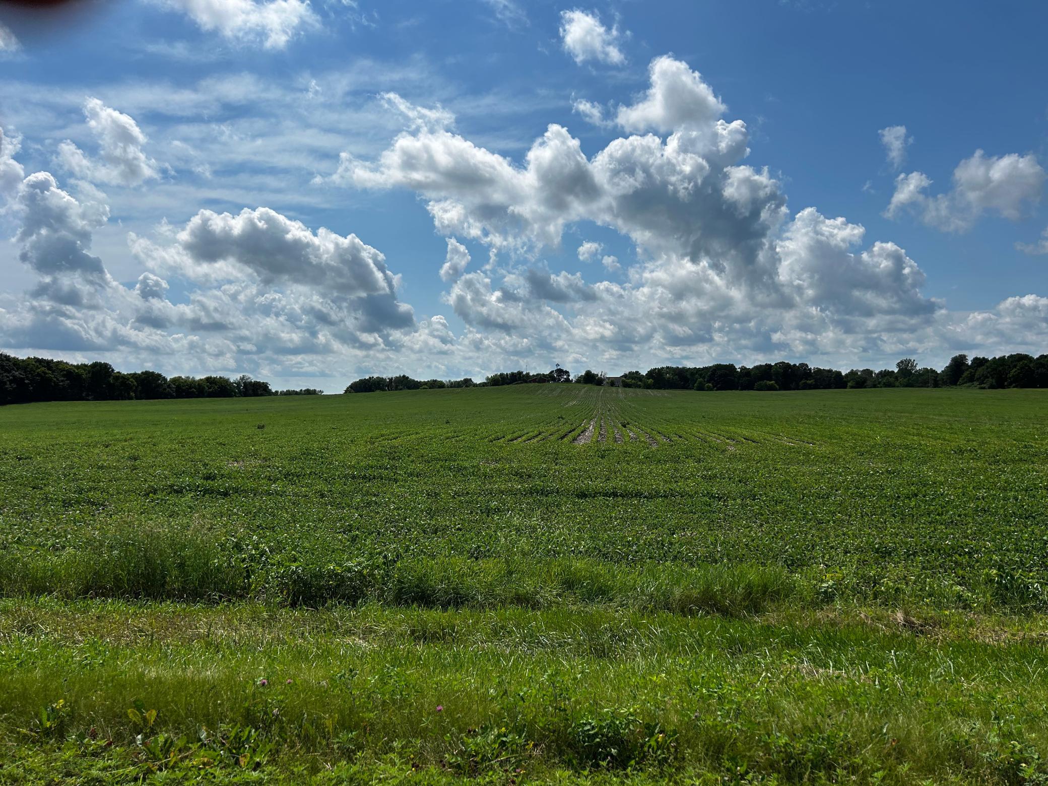 MLS #NST6751841 image #1