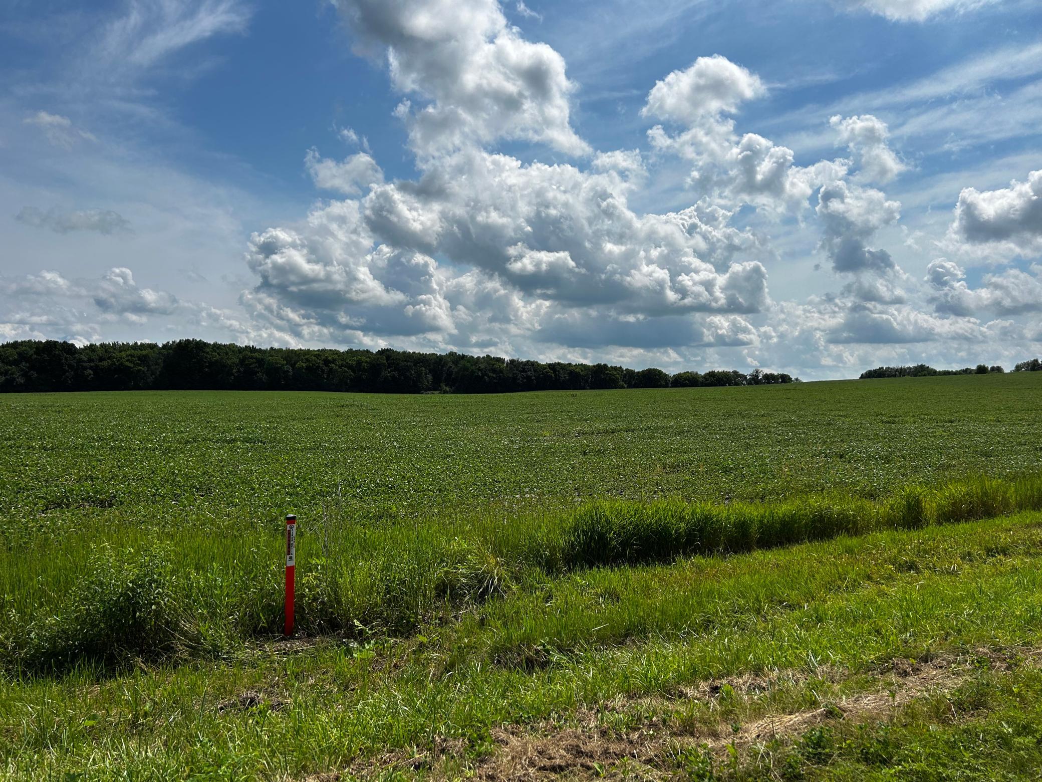 MLS #NST6751841 image #6