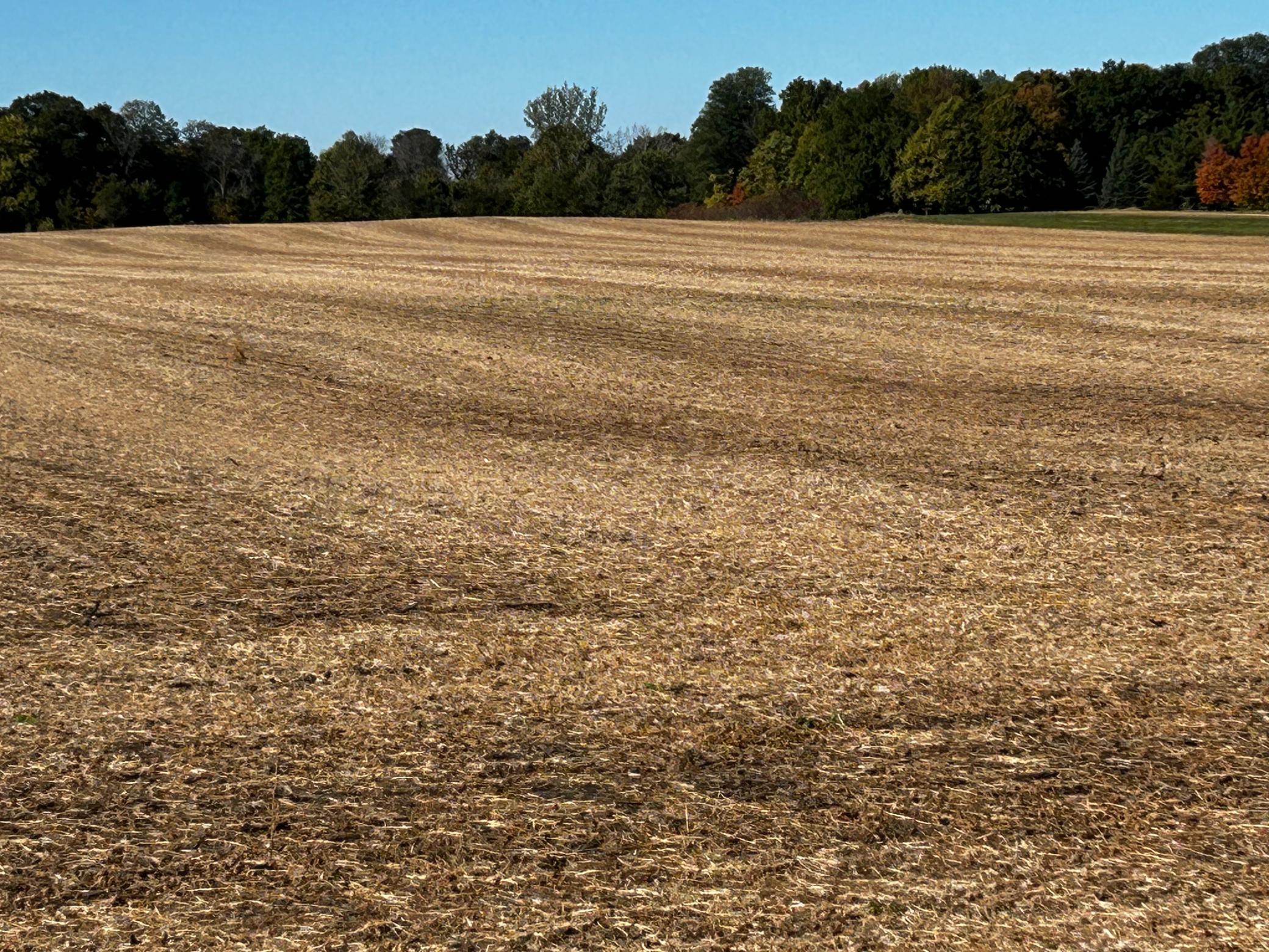 MLS #NST6751841 image #7
