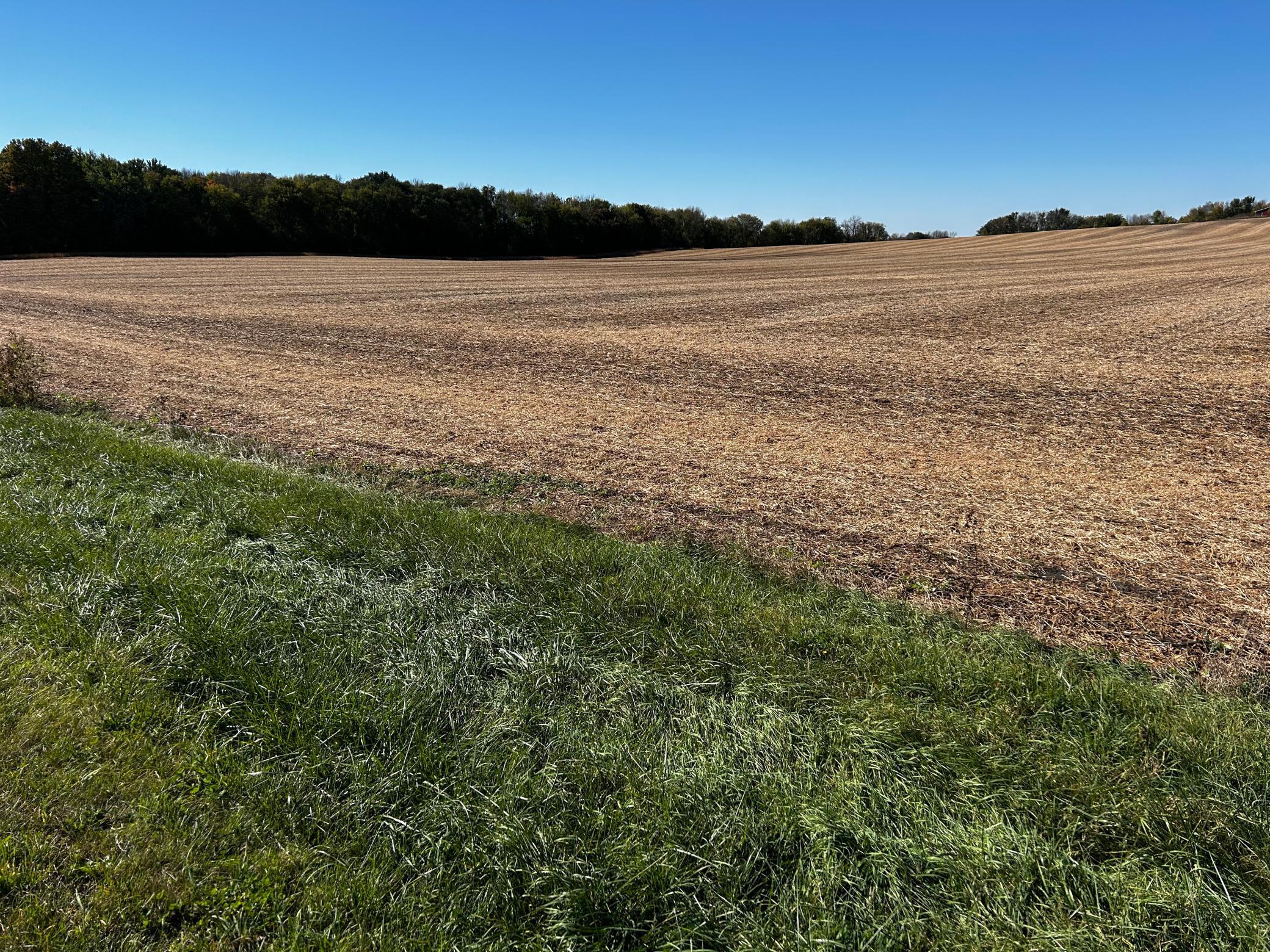 MLS #NST6751841 image #8