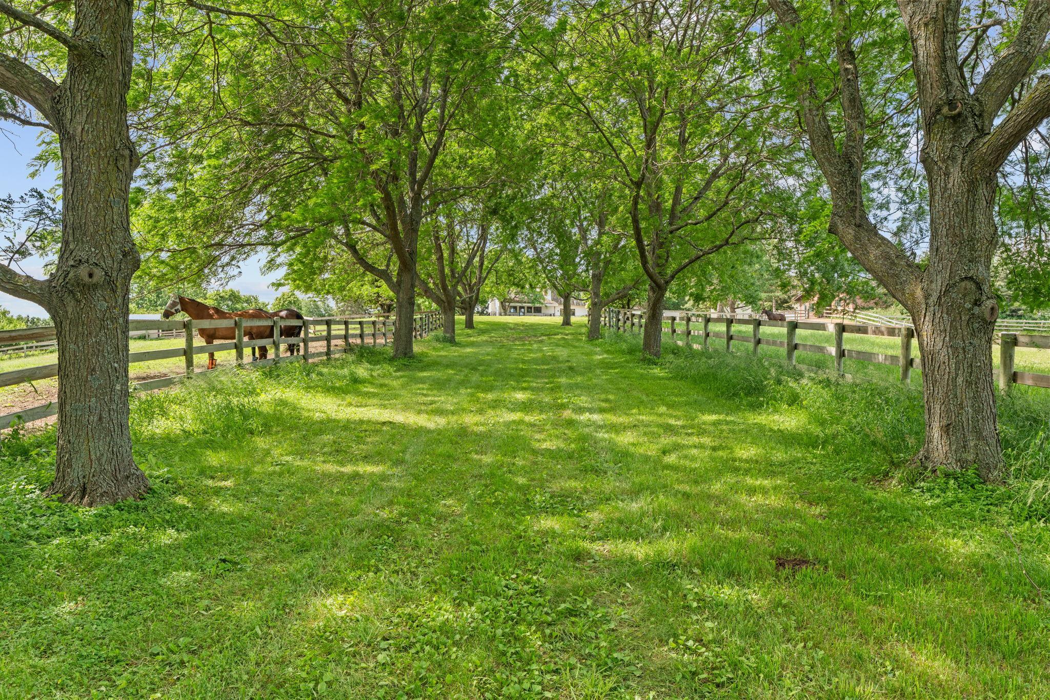 MLS #NST7081831 image #32