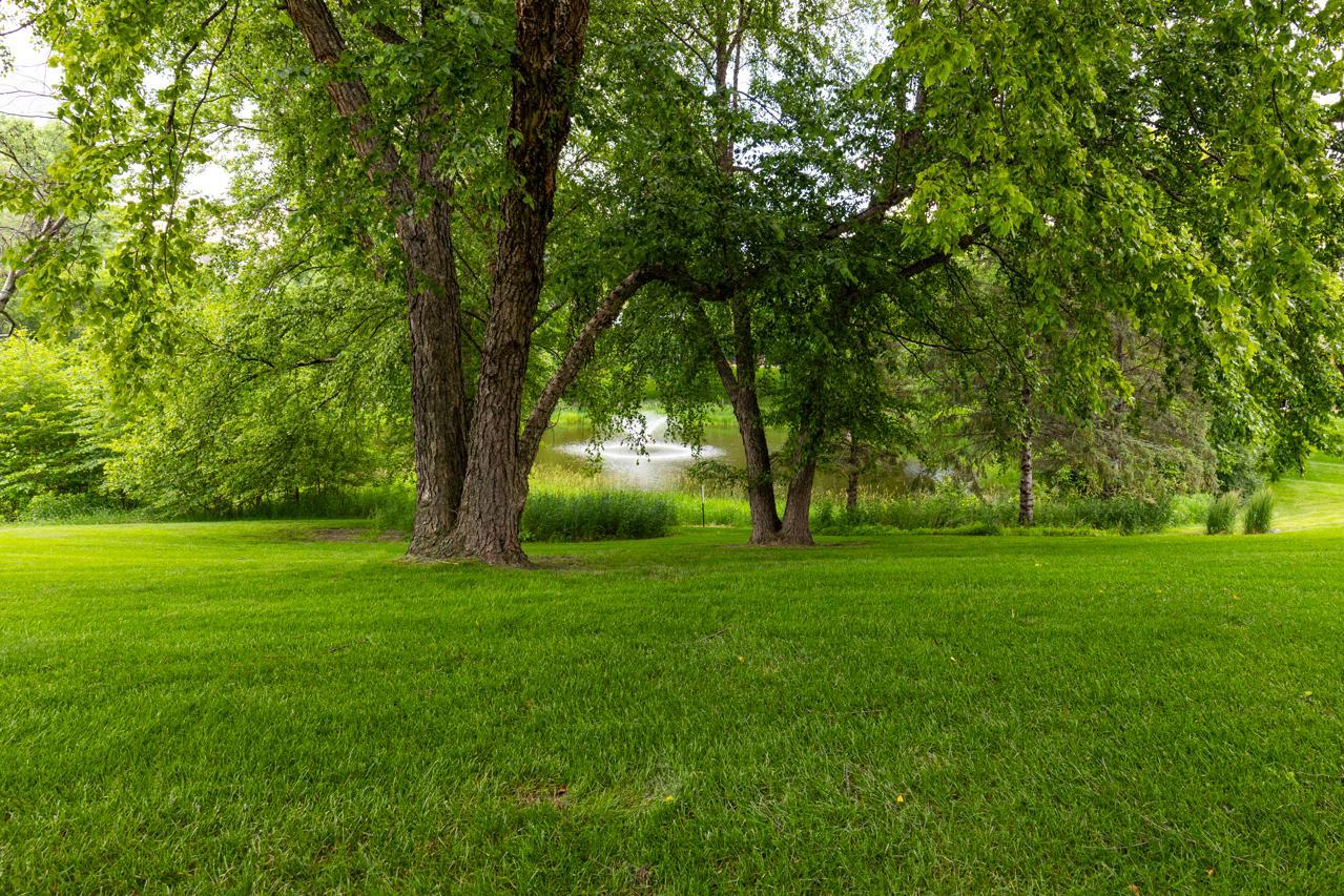 MLS #NST7097158 image #1