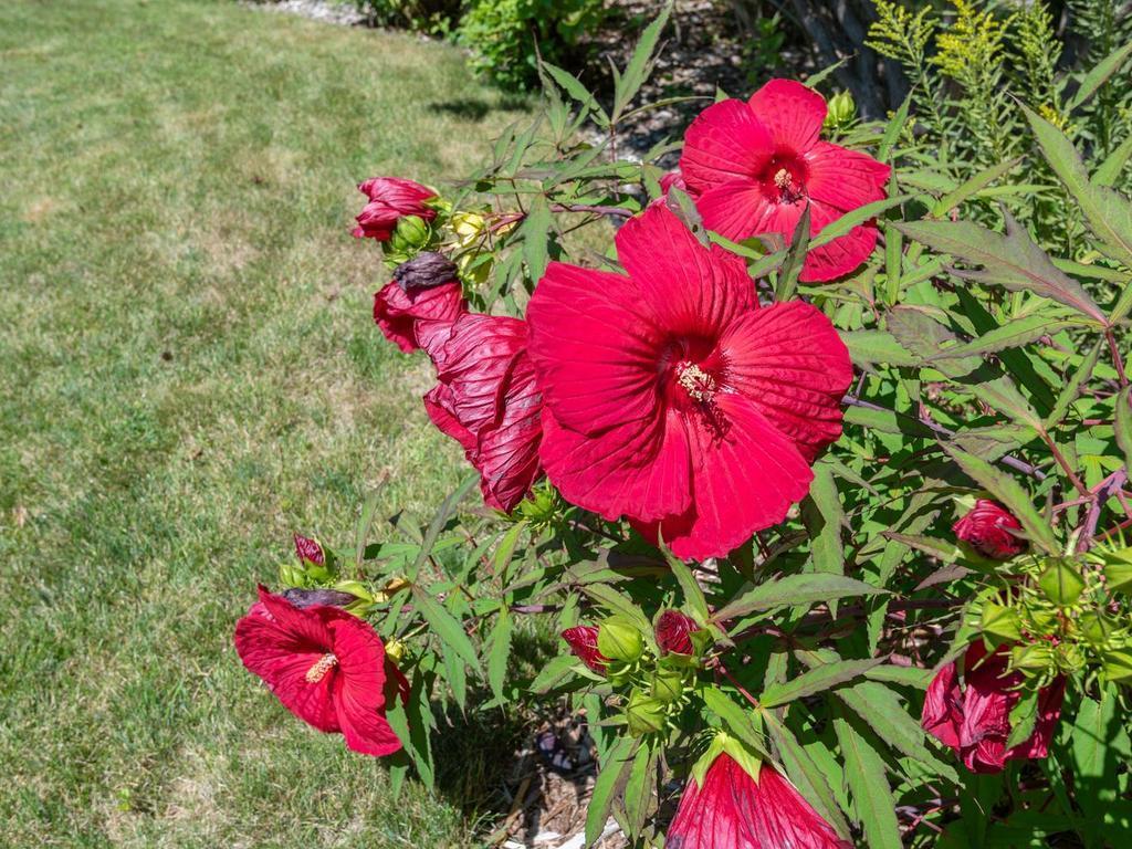 MLS #NST7122493 image #37