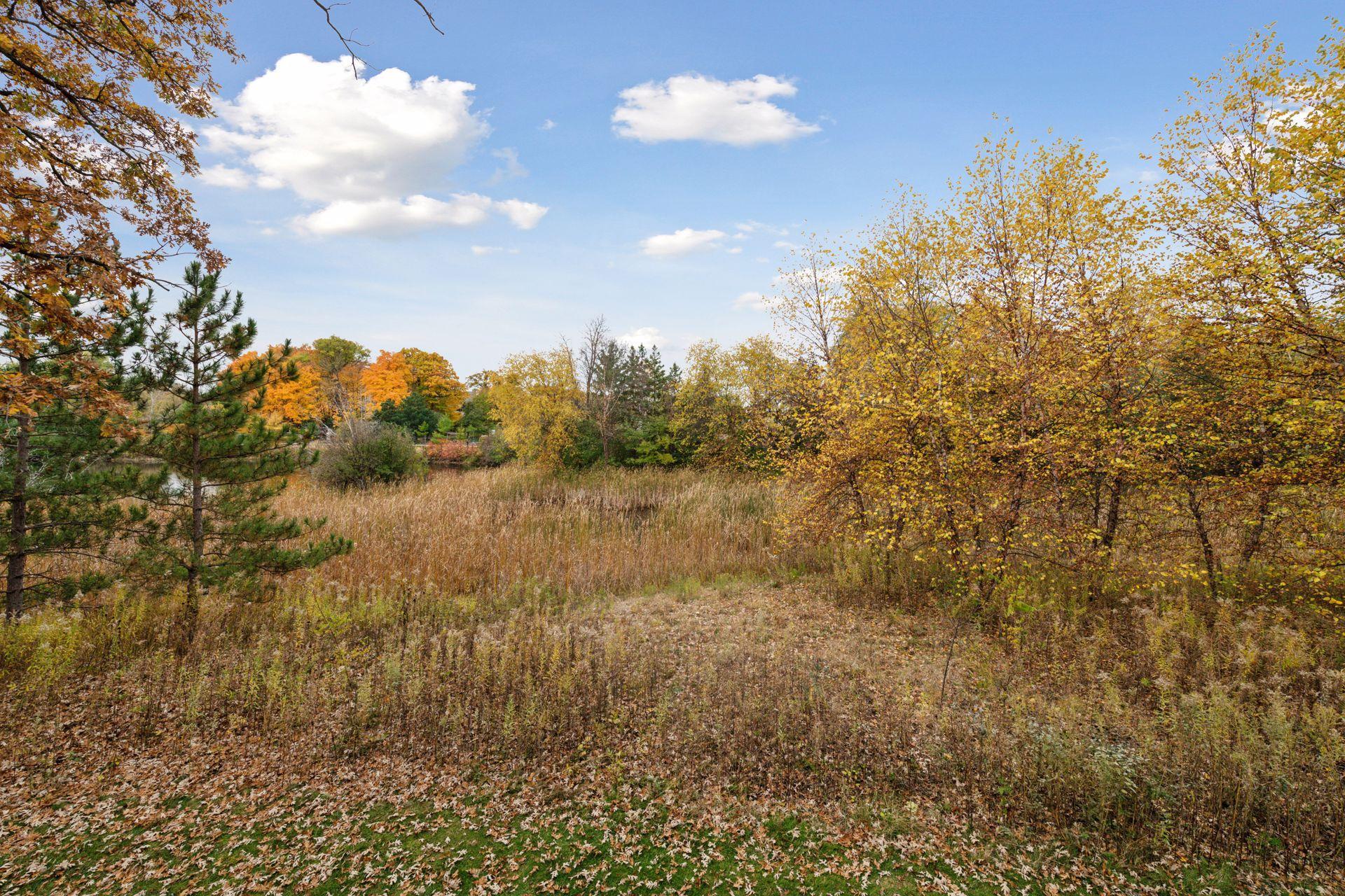 MLS #NST7138332 image #95