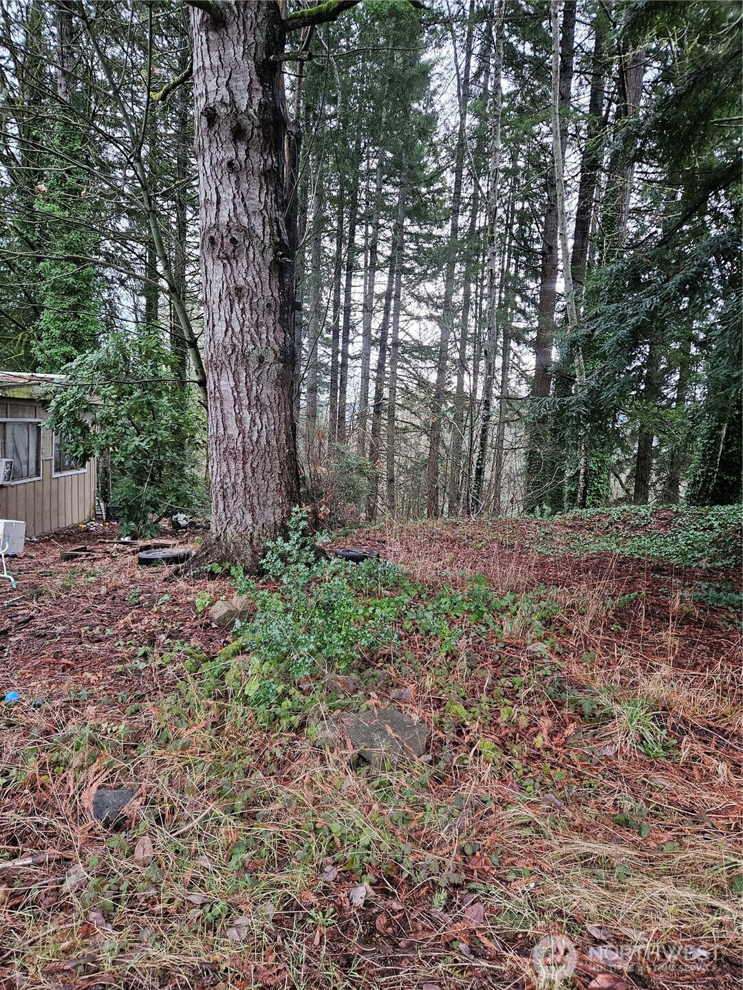 MLS #NWM2333880 image #0