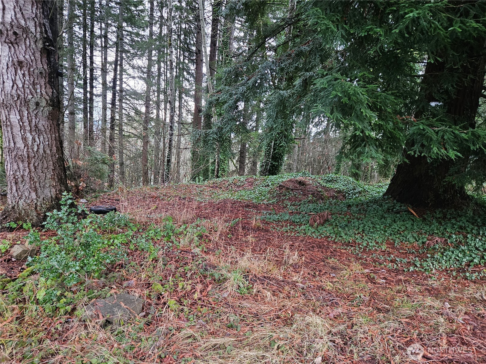 MLS #NWM2333883 image #0