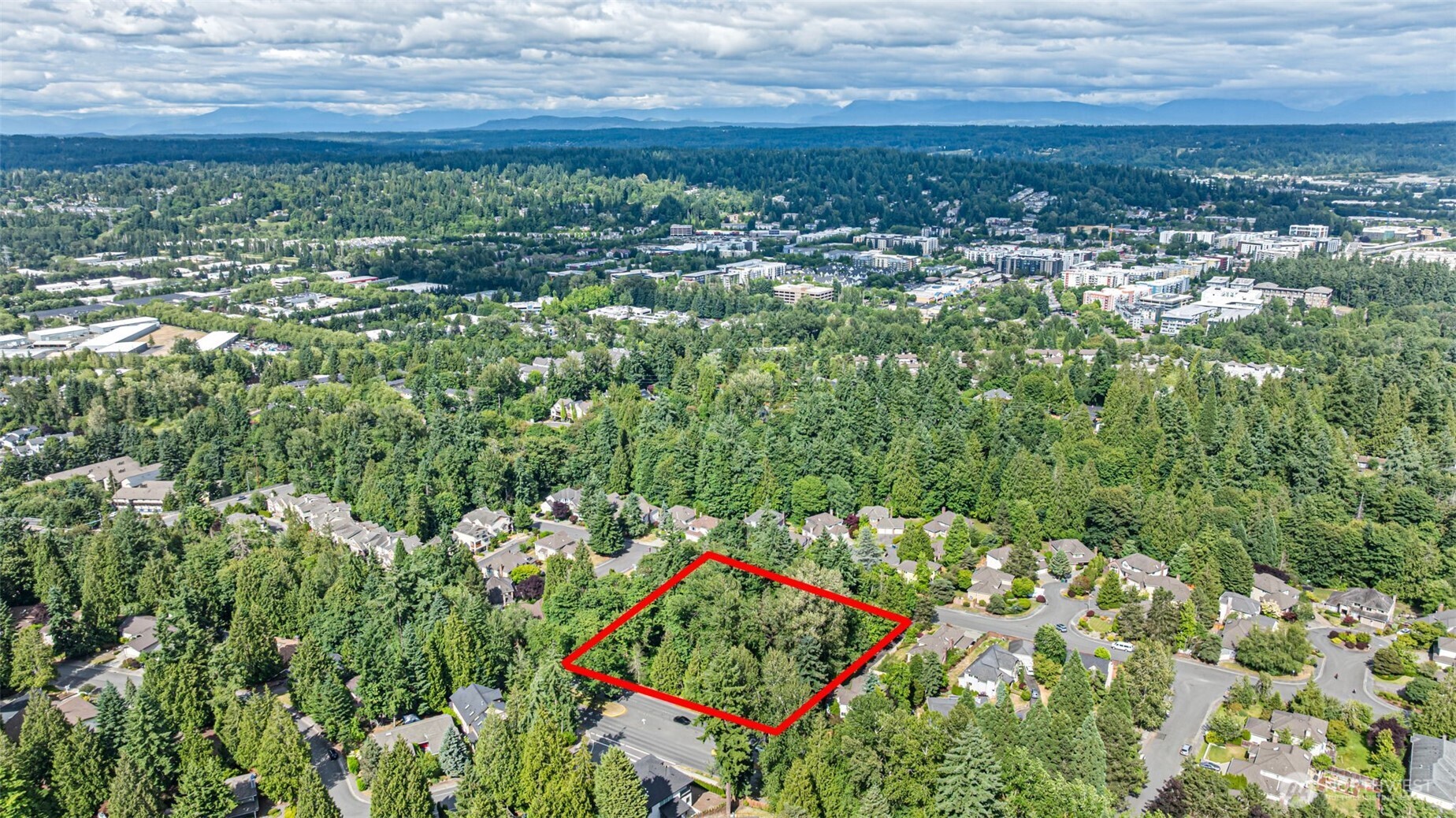 MLS #NWM2447834 image #15