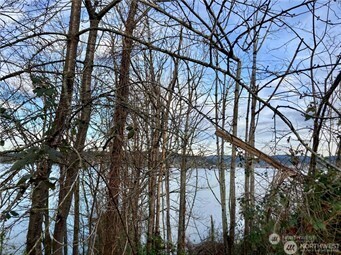 MLS #NWM2448595 image #1