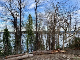 MLS #NWM2448595 image #2