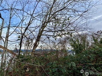 MLS #NWM2448595 image #3