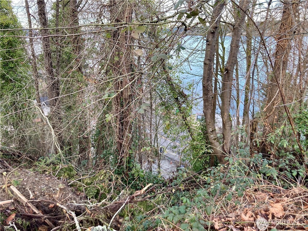 MLS #NWM2448595 image #4