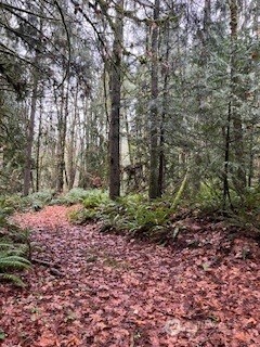 MLS #NWM2457669 image #0