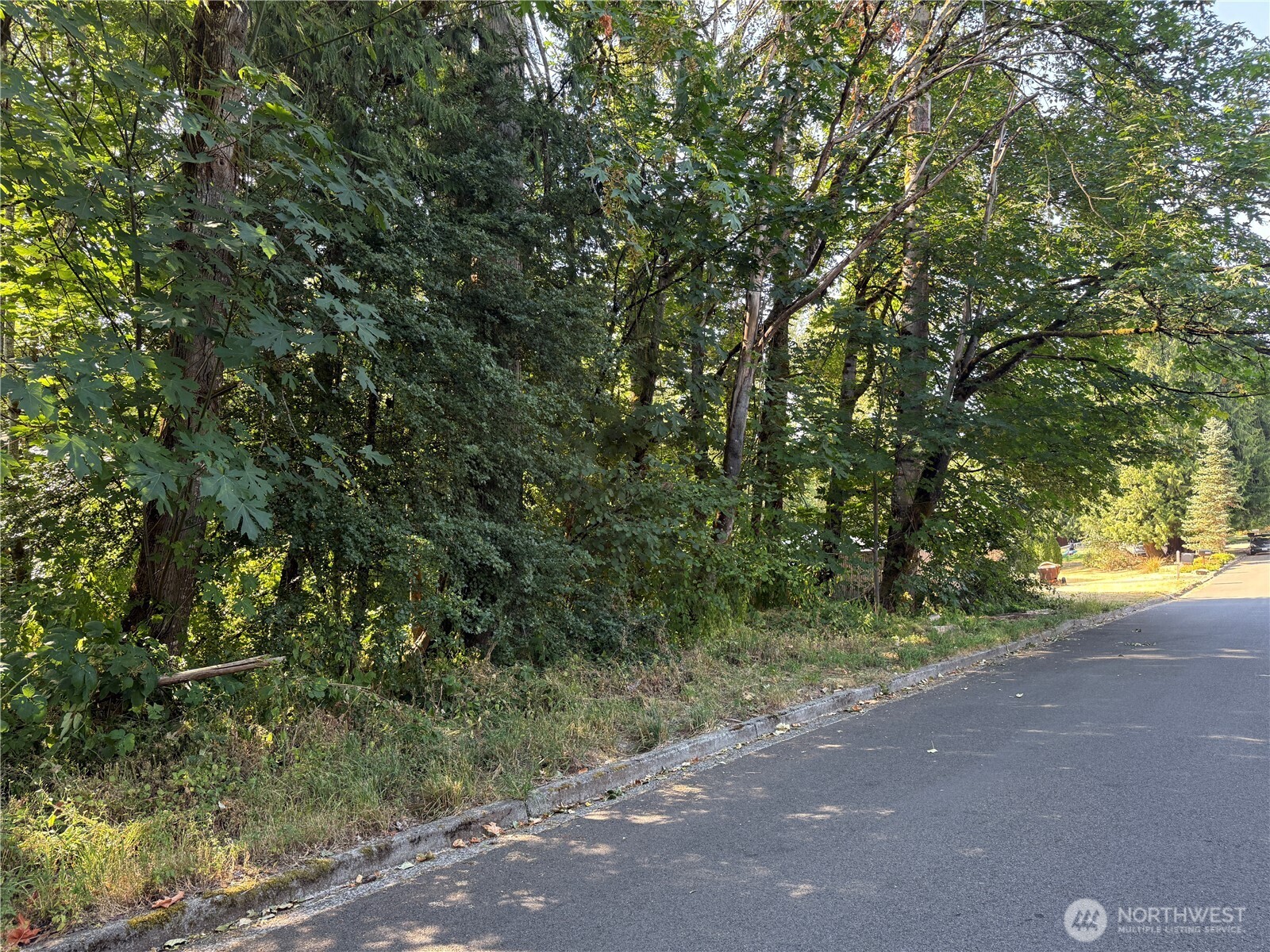 MLS #NWM2465650 image #1