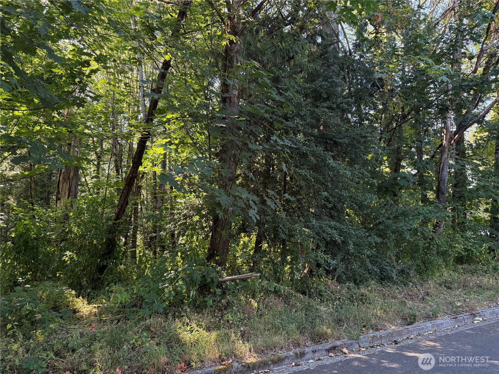 MLS #NWM2465650 image #3
