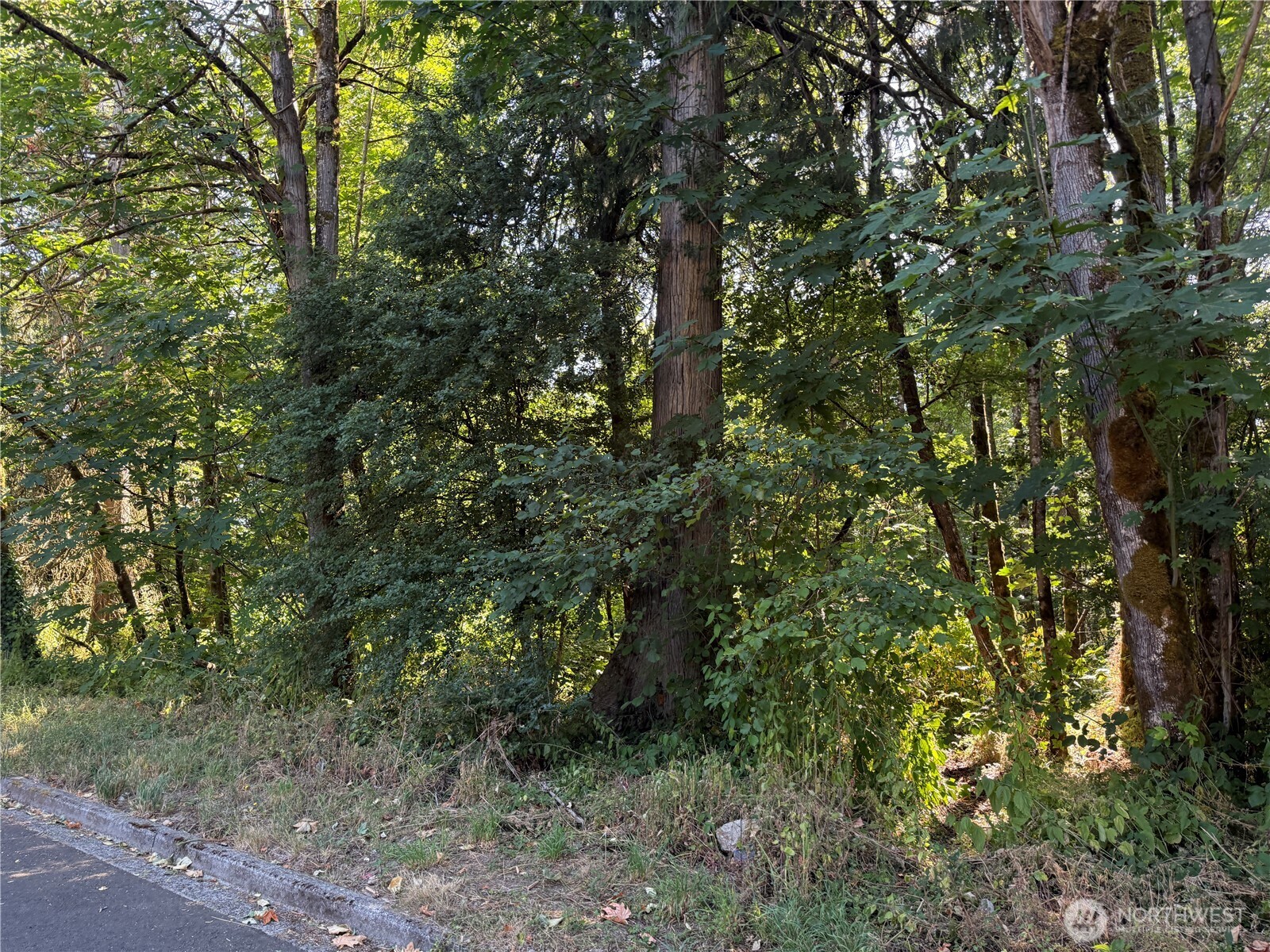MLS #NWM2465650 image #4