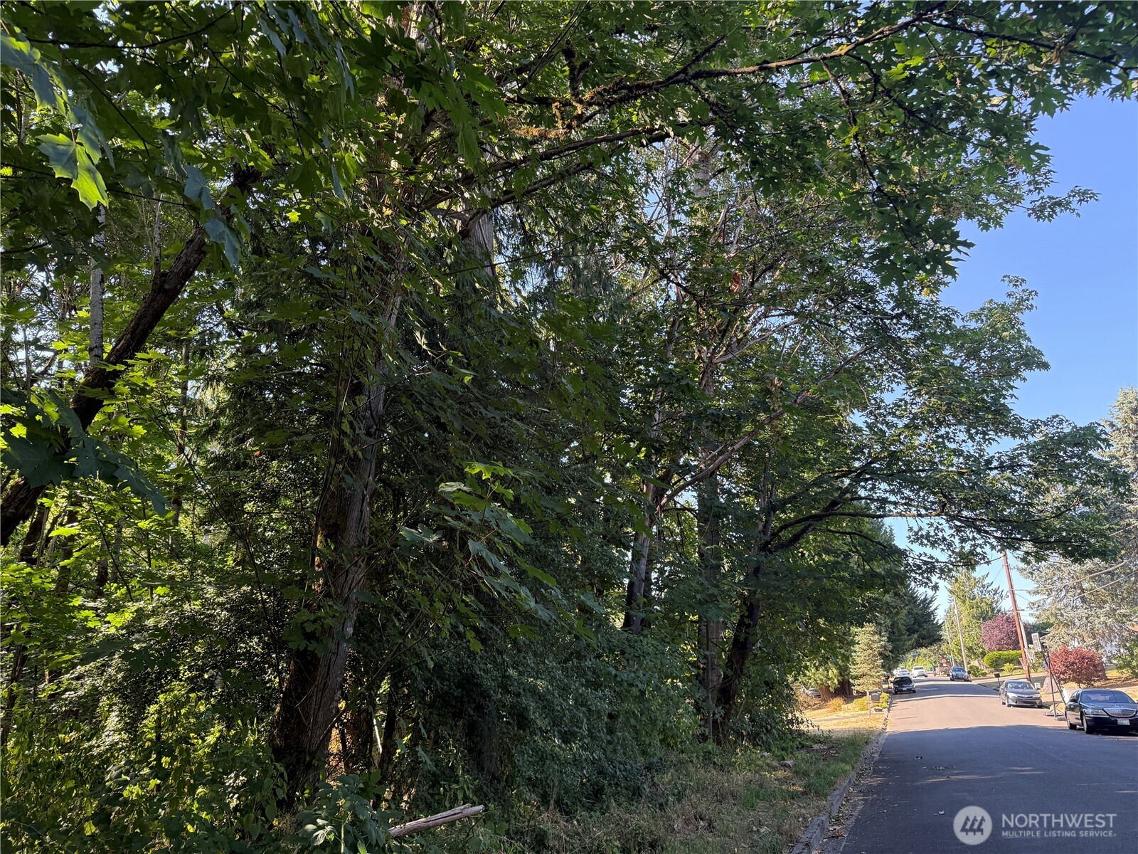 MLS #NWM2465650 image #5