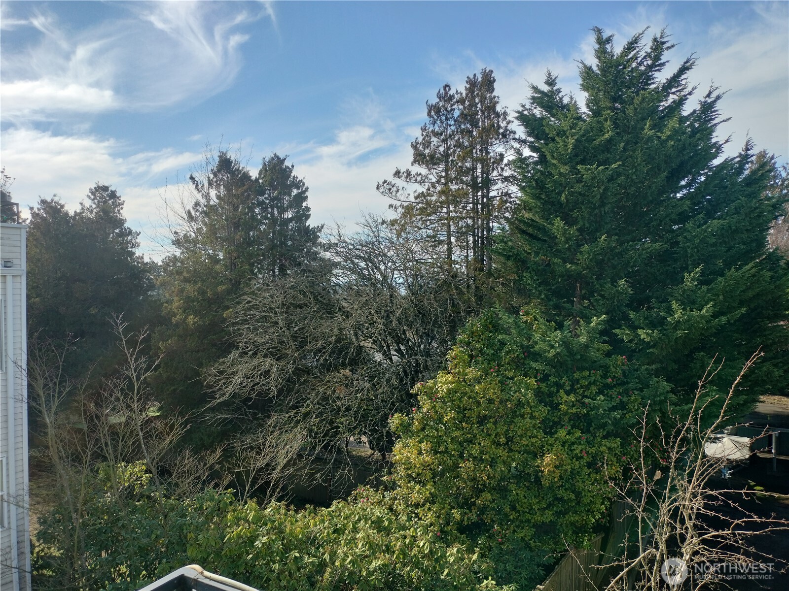 MLS #NWM2473412 image #9